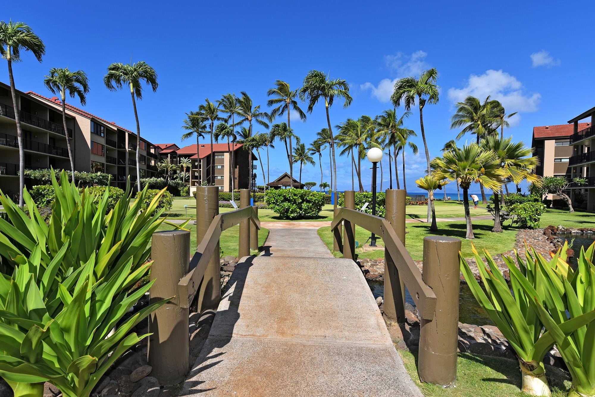 Papakea Resort I II condo # B207, Lahaina, Hawaii - photo 30 of 38