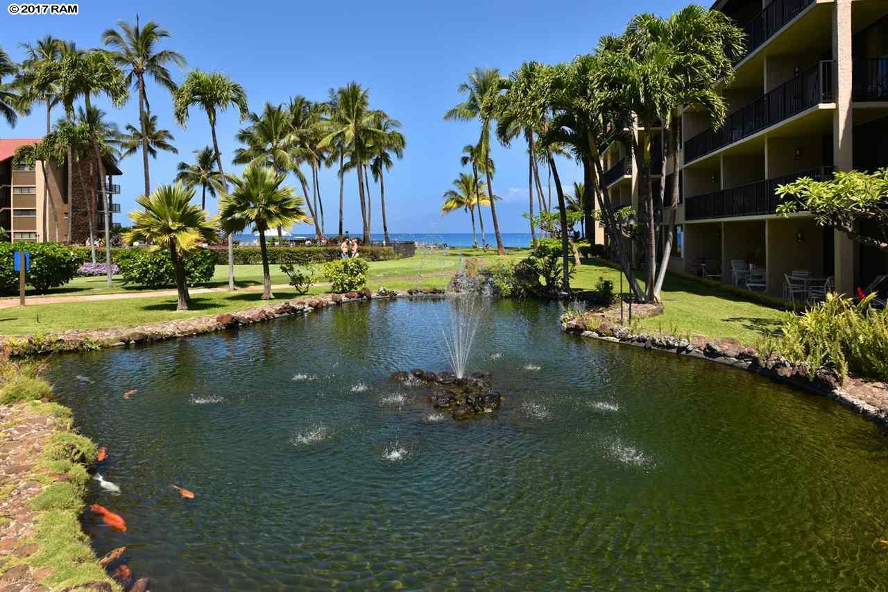 Papakea Resort I II condo # B208, Lahaina, Hawaii - photo 18 of 28