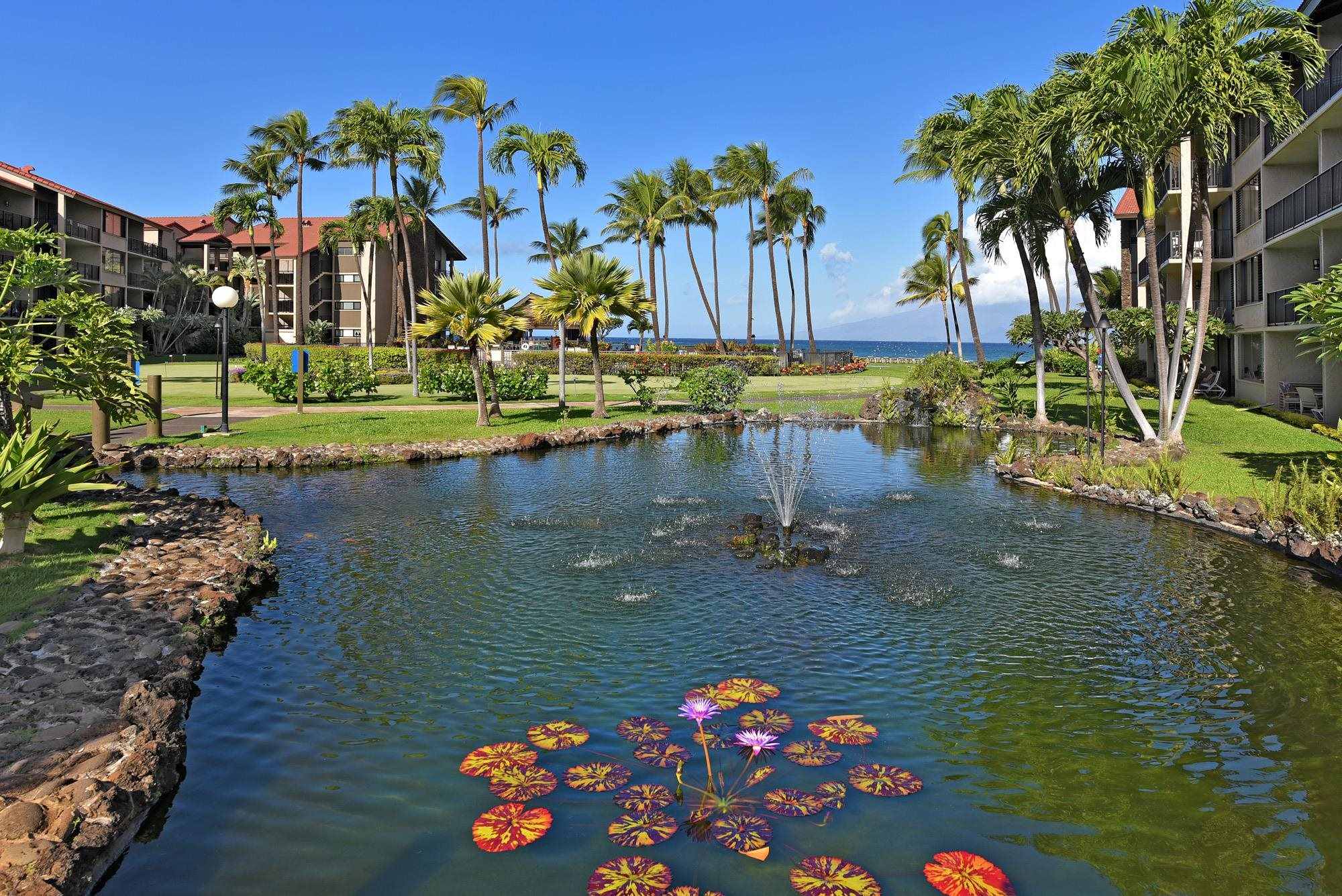 Papakea Resort I II condo # B302, Lahaina, Hawaii - photo 46 of 49