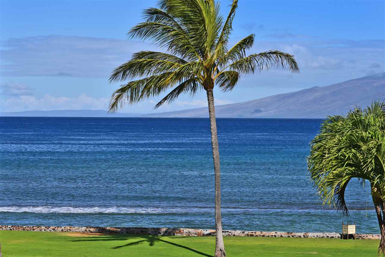 Papakea Resort I II condo # B306, Lahaina, Hawaii - photo 26 of 30