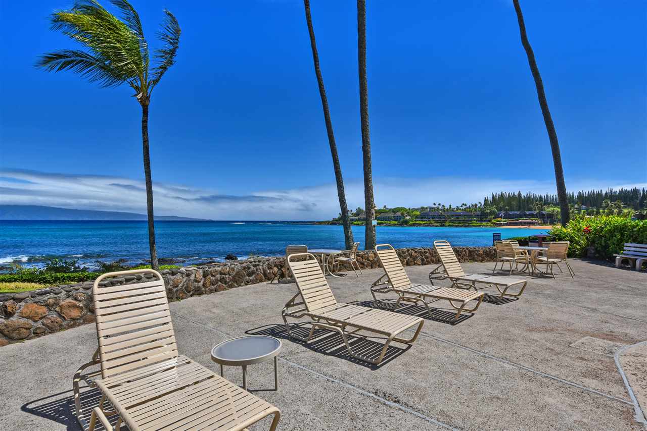 Papakea Resort I II condo # C103, Lahaina, Hawaii - photo 29 of 30