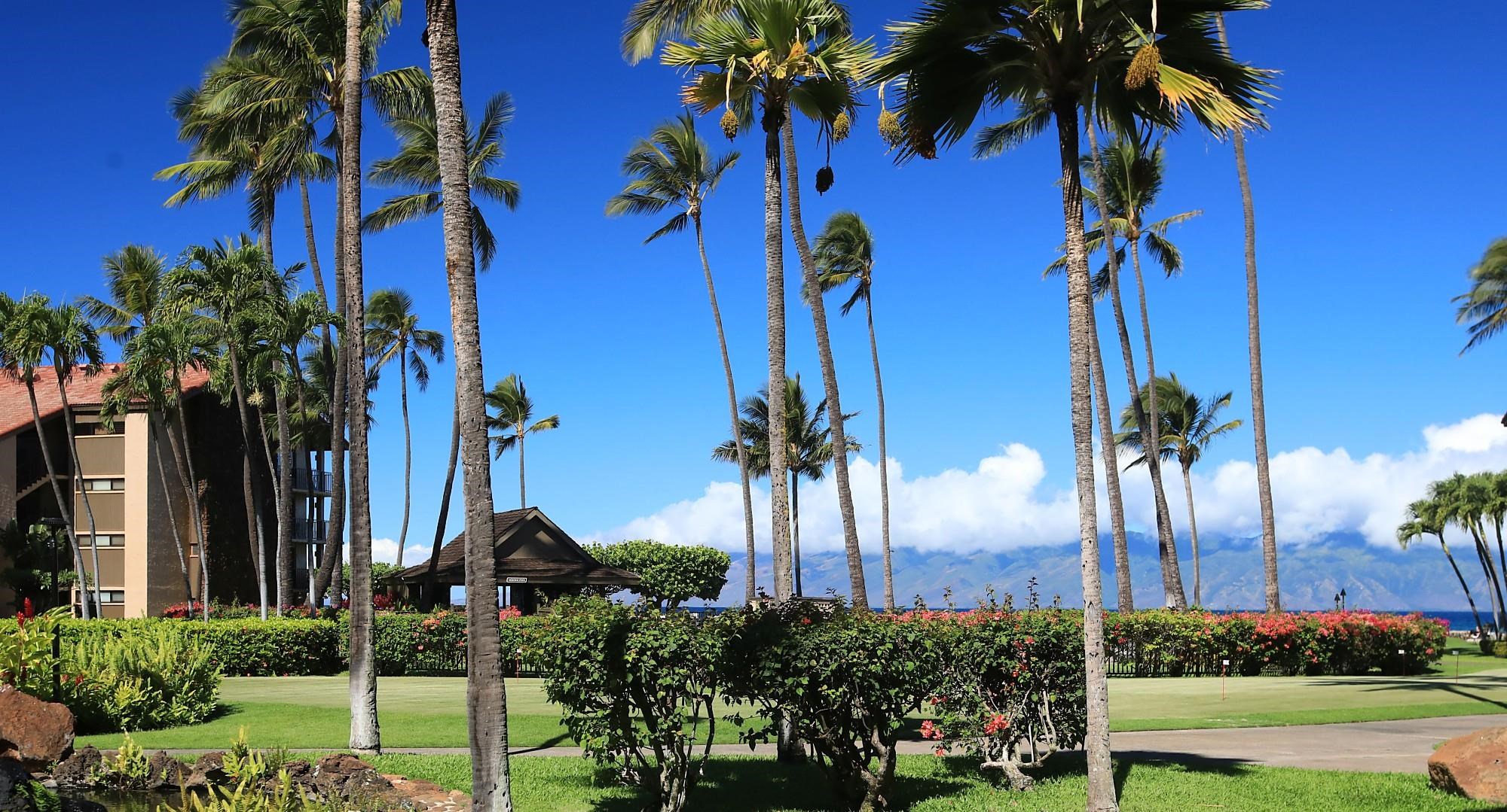 Papakea Resort I II condo # C107, Lahaina, Hawaii - photo 2 of 40