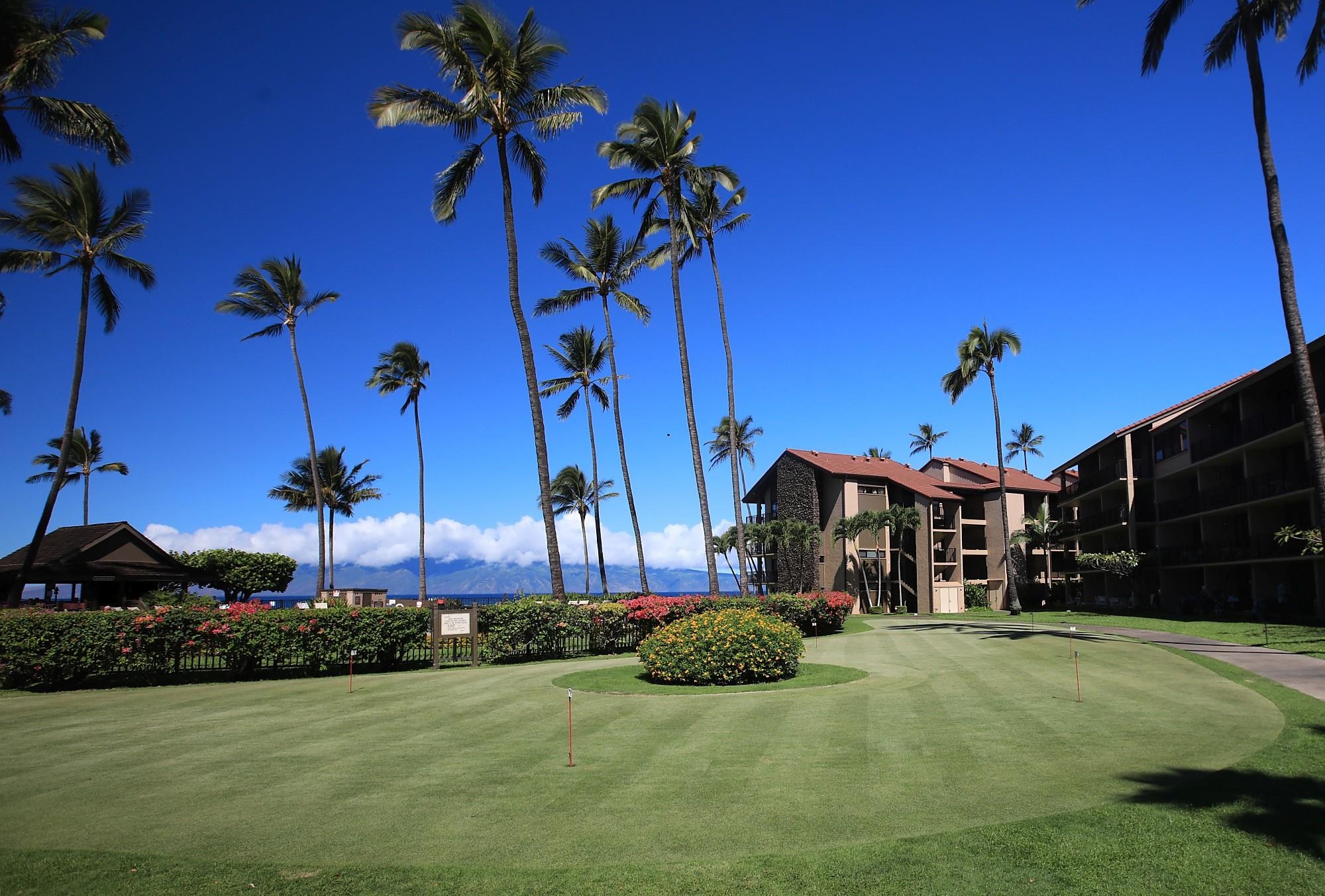 Papakea Resort I II condo # C107, Lahaina, Hawaii - photo 28 of 40