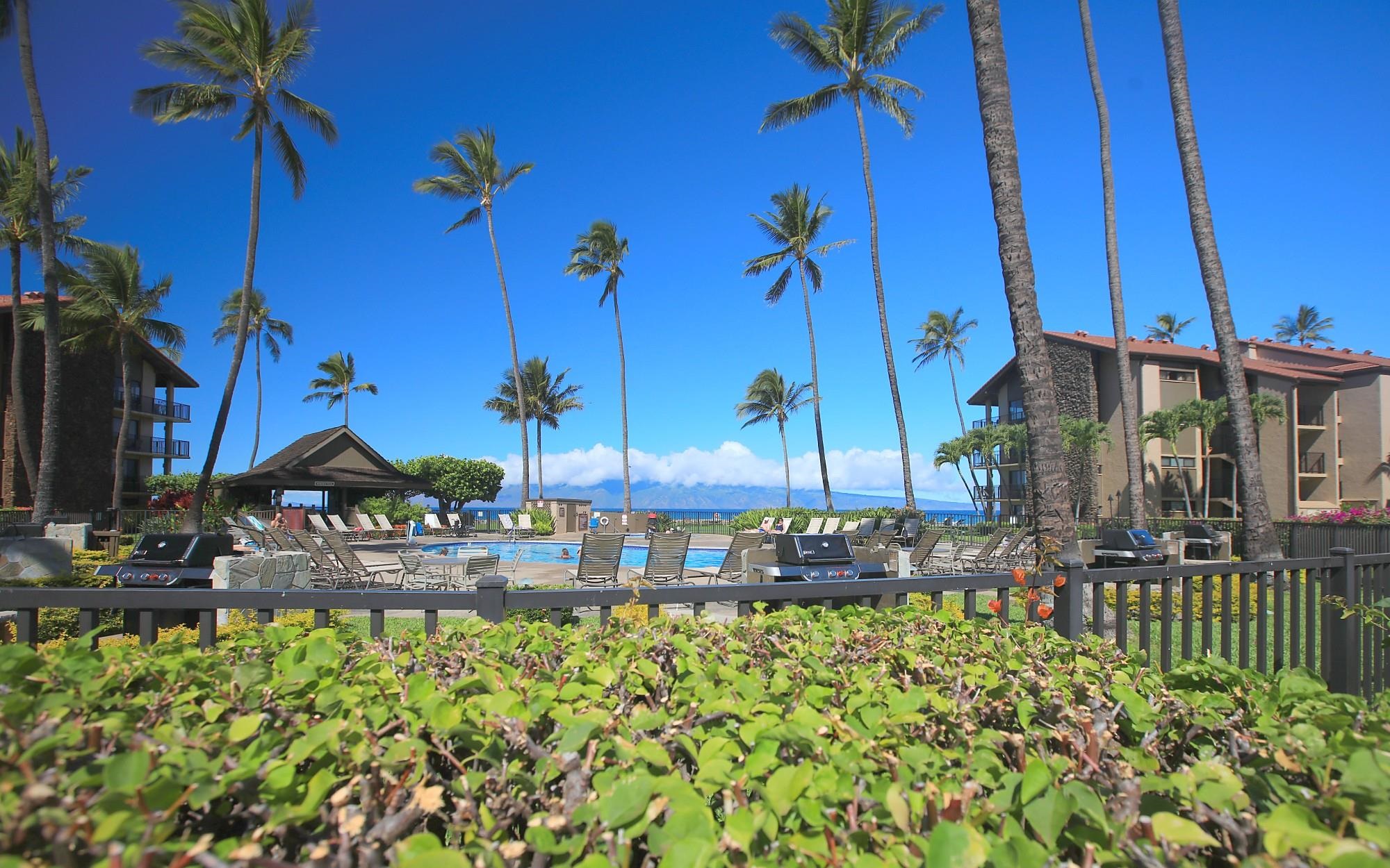 Papakea Resort I II condo # C107, Lahaina, Hawaii - photo 29 of 40