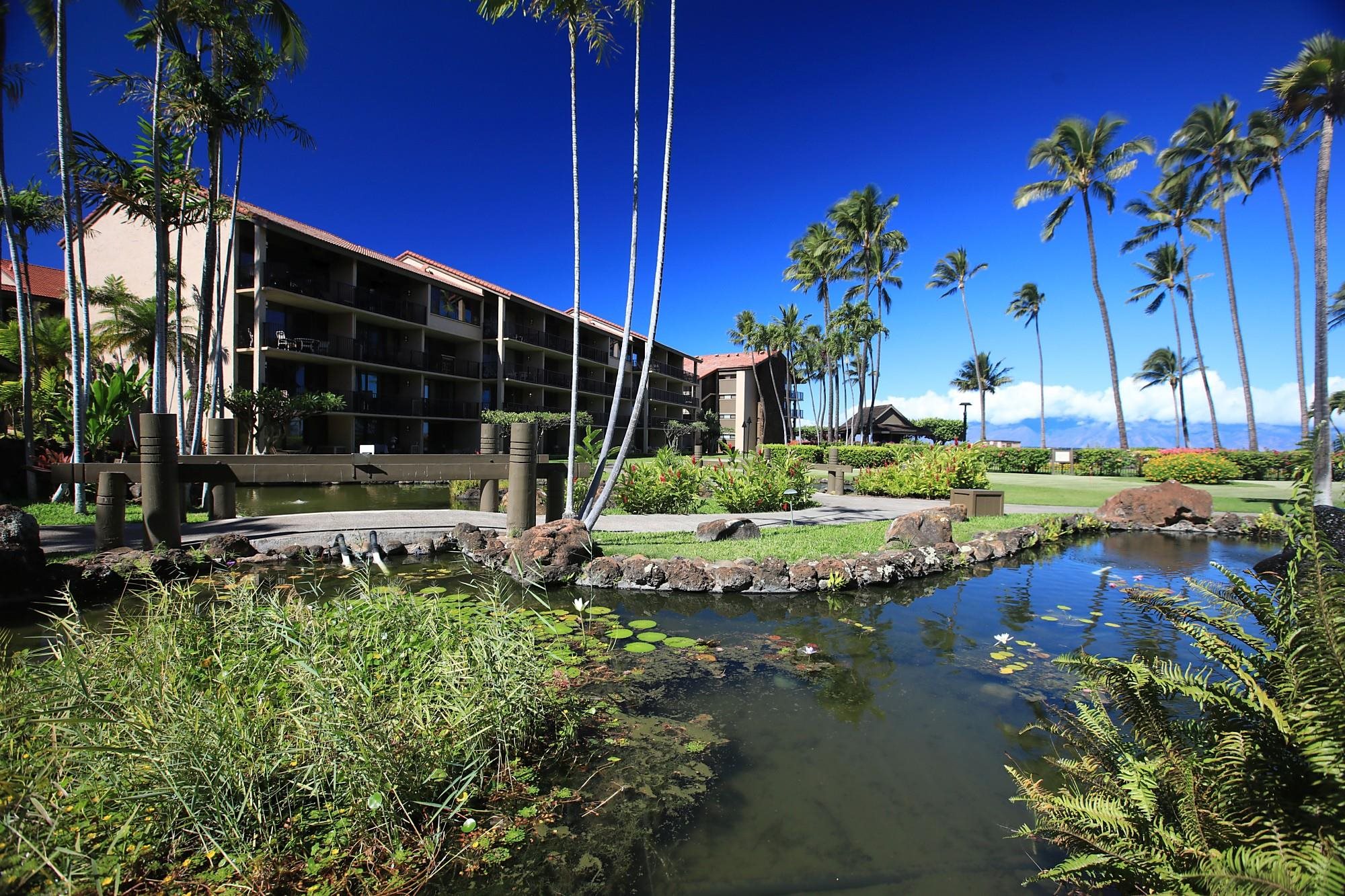 Papakea Resort I II condo # C107, Lahaina, Hawaii - photo 36 of 49