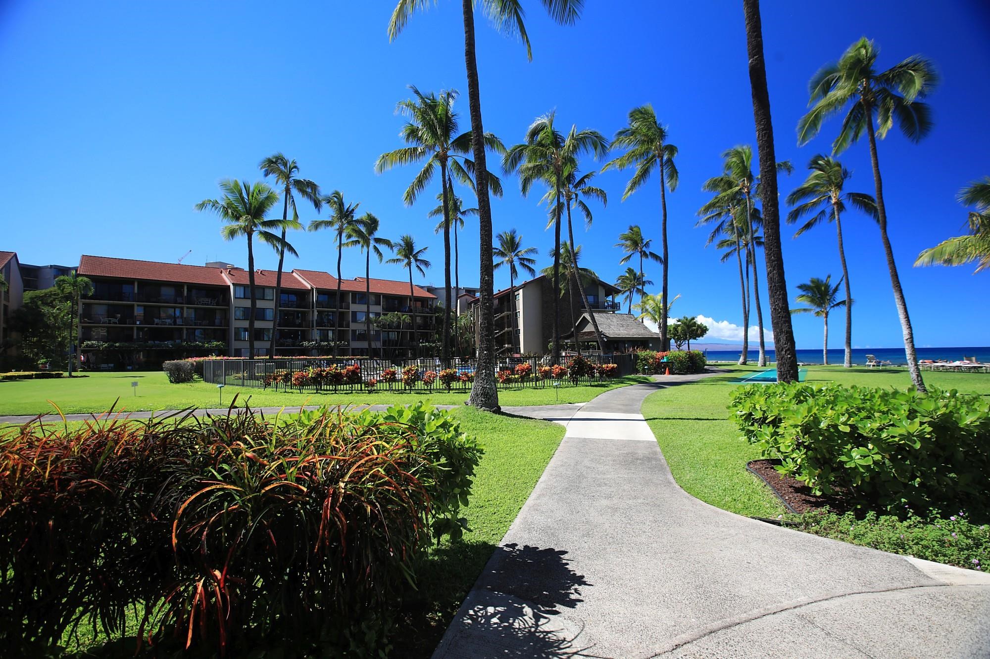 Papakea Resort I II condo # C107, Lahaina, Hawaii - photo 42 of 49