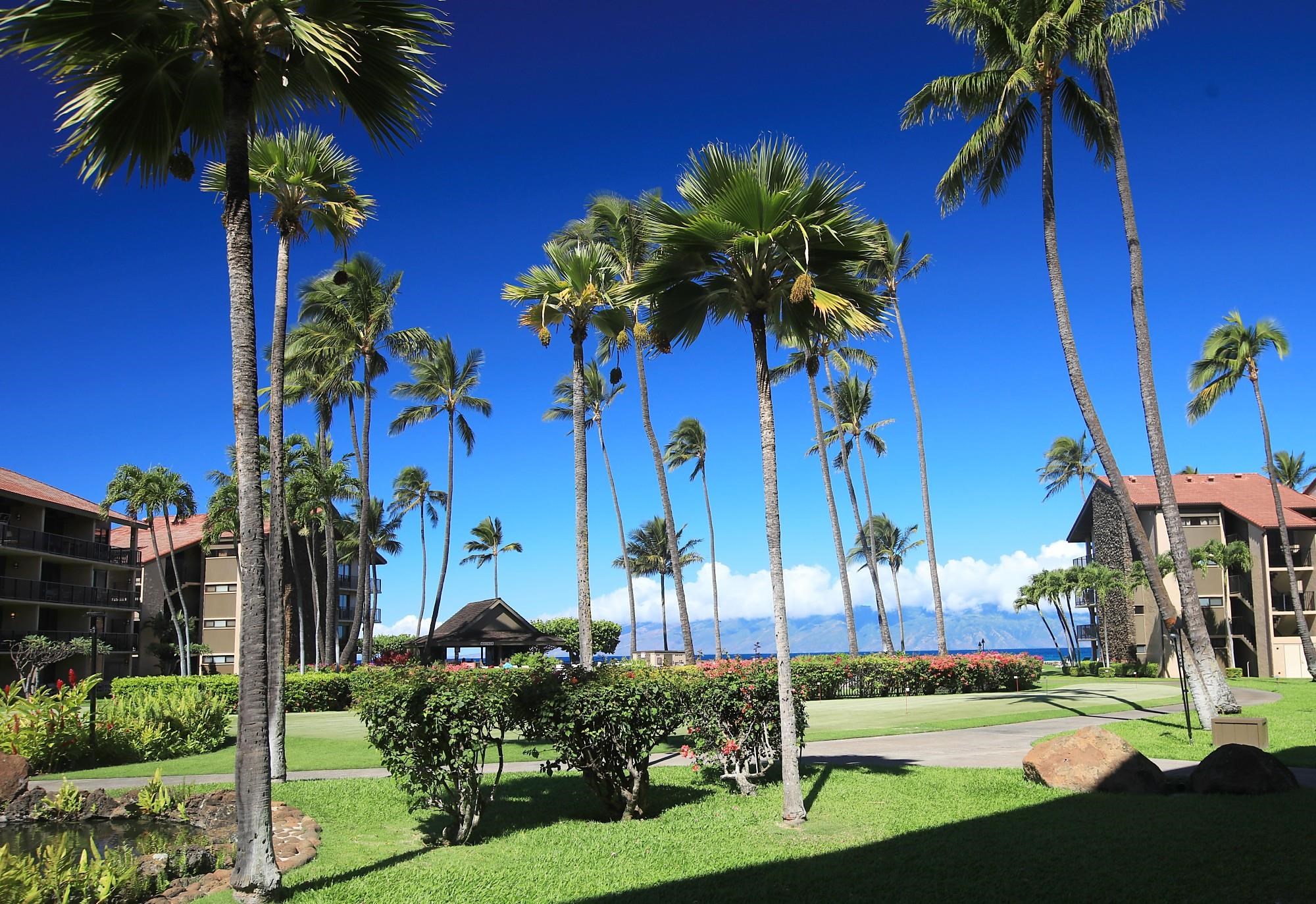 Papakea Resort I II condo # C107, Lahaina, Hawaii - photo 9 of 41