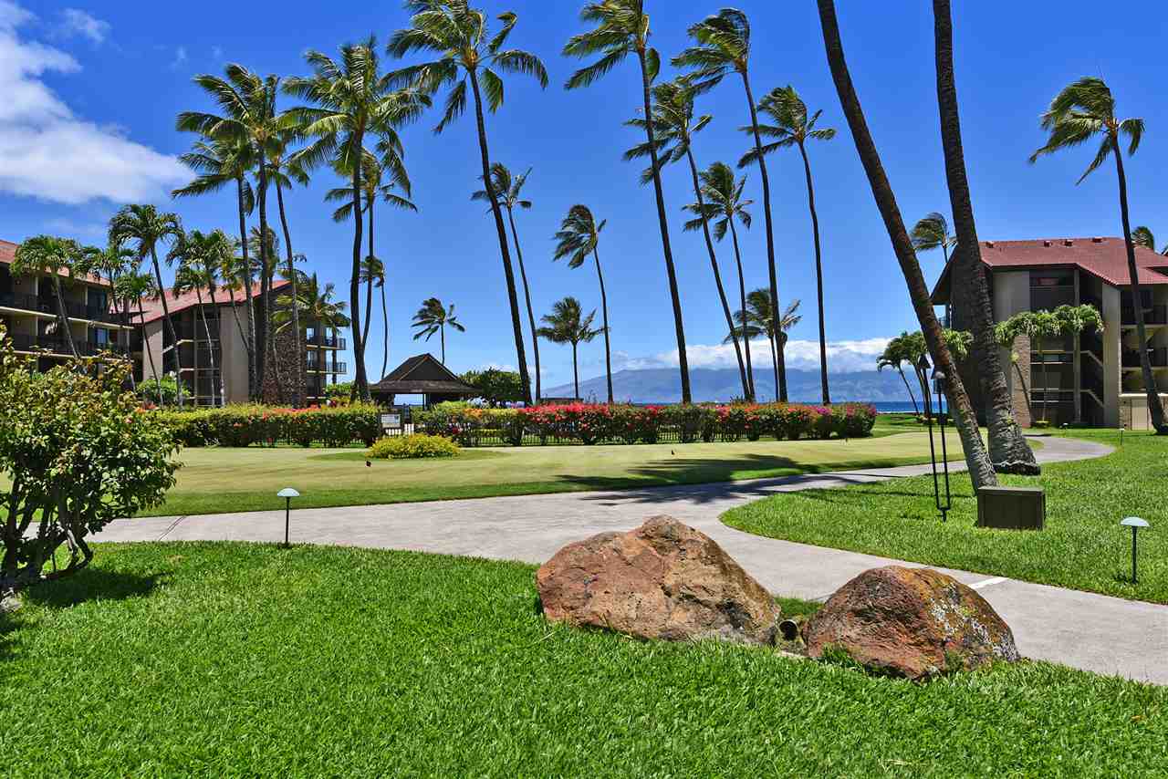 Papakea Resort I II condo # C109, Lahaina, Hawaii - photo 12 of 28