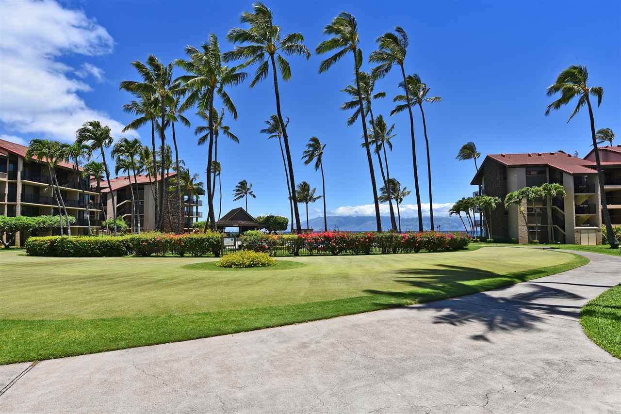 Papakea Resort I II condo # C109, Lahaina, Hawaii - photo 13 of 28