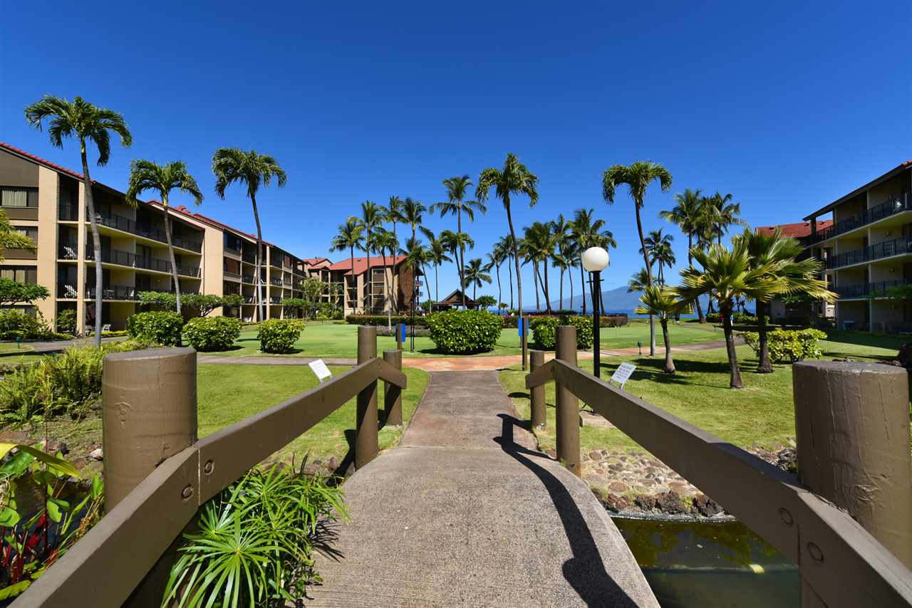 Papakea Resort I II condo # C109, Lahaina, Hawaii - photo 27 of 28
