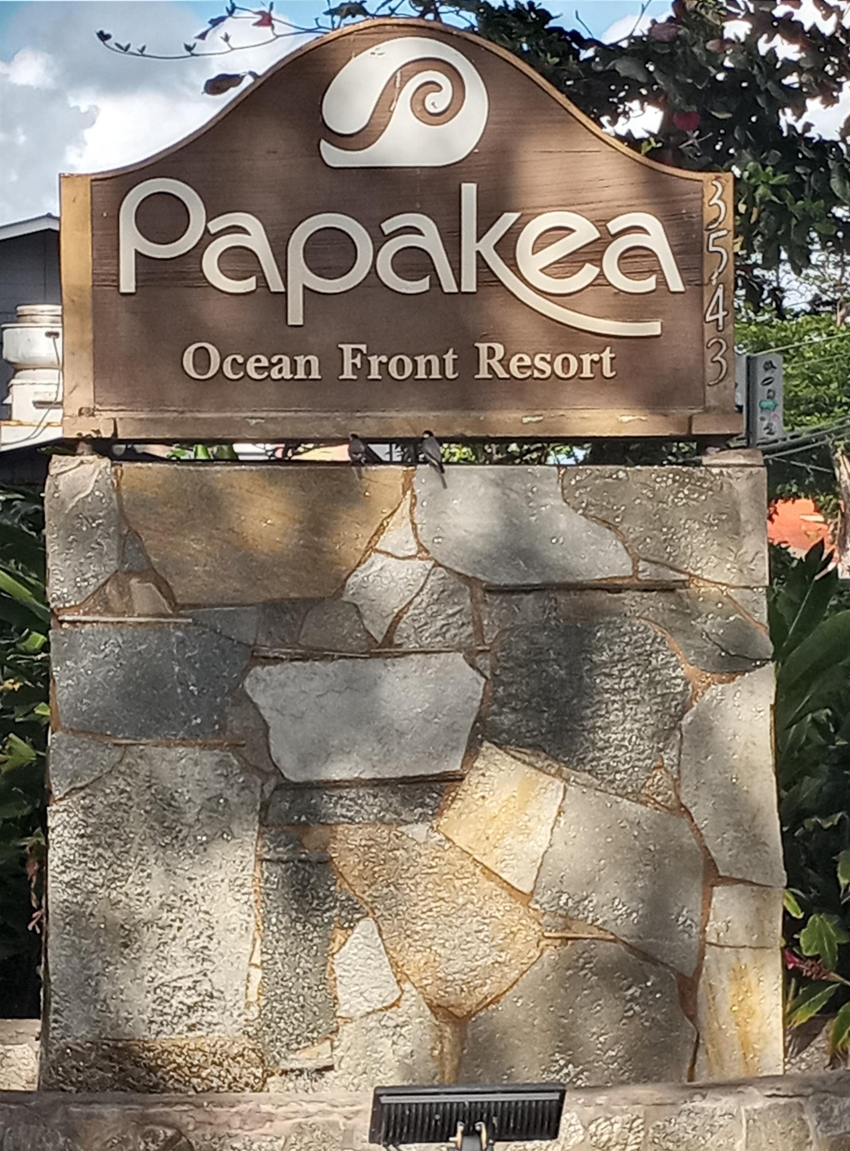 Papakea Resort I II condo # C203, Lahaina, Hawaii - photo 3 of 23