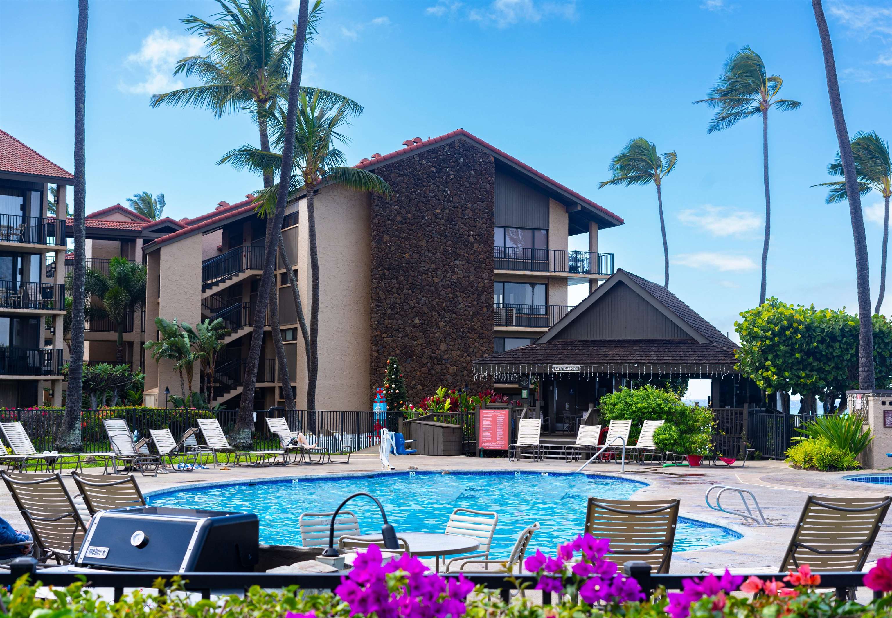 Papakea Resort I II condo # C204, Lahaina, Hawaii - photo 16 of 23