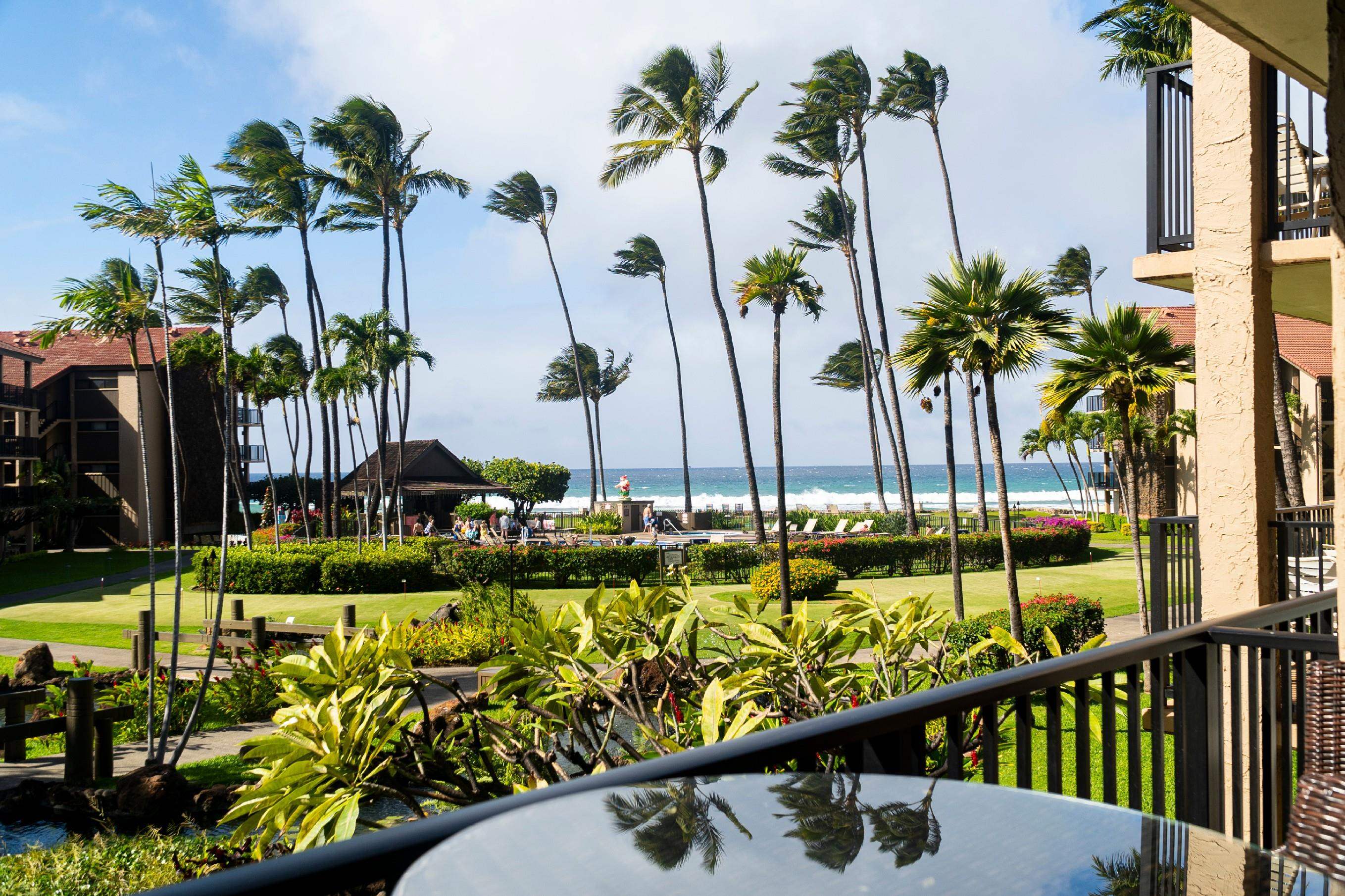 Papakea Resort I II condo # C204, Lahaina, Hawaii - photo 3 of 23