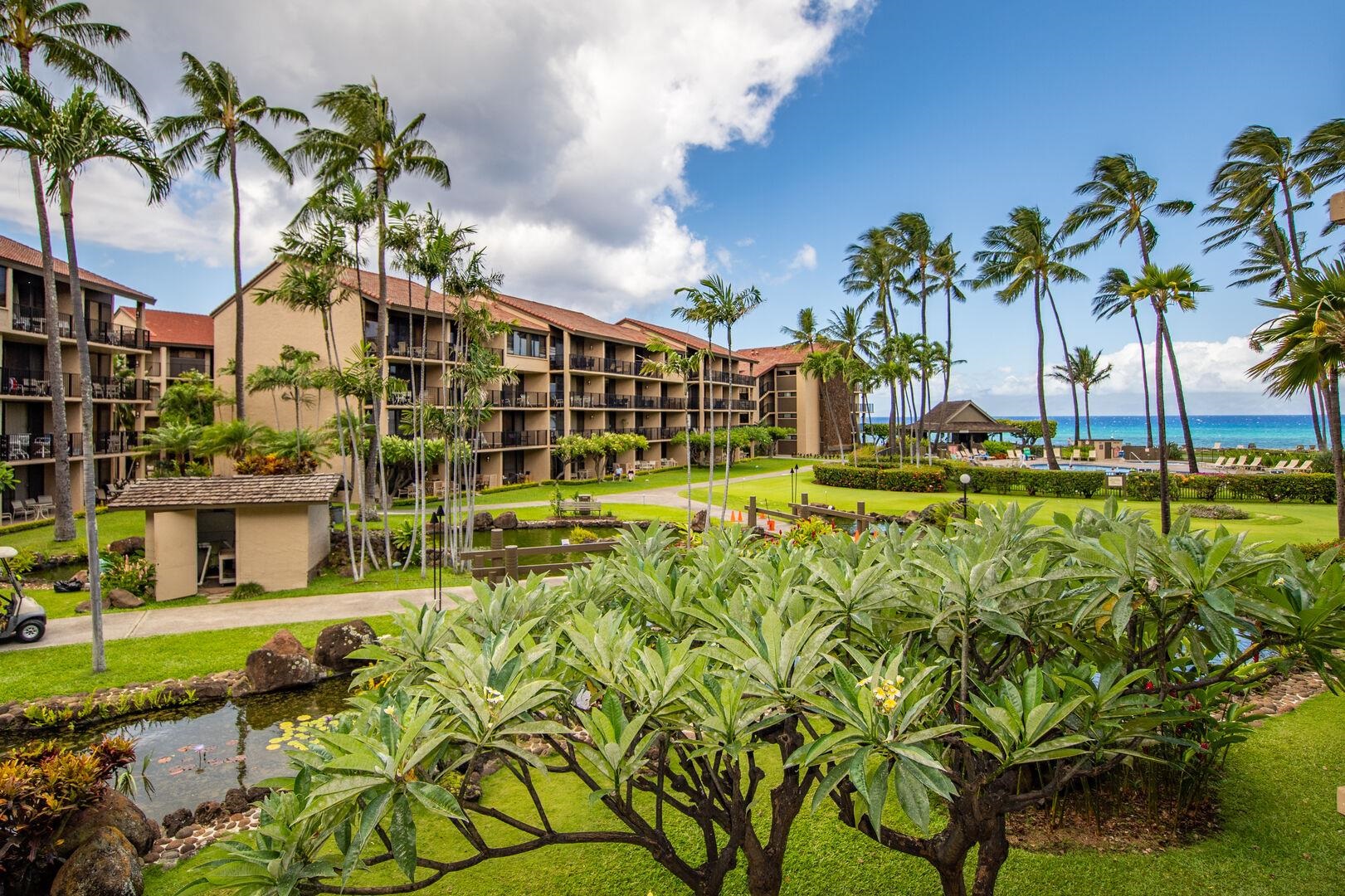 Papakea Resort I II condo # C-205, Lahaina, Hawaii - photo 2 of 50