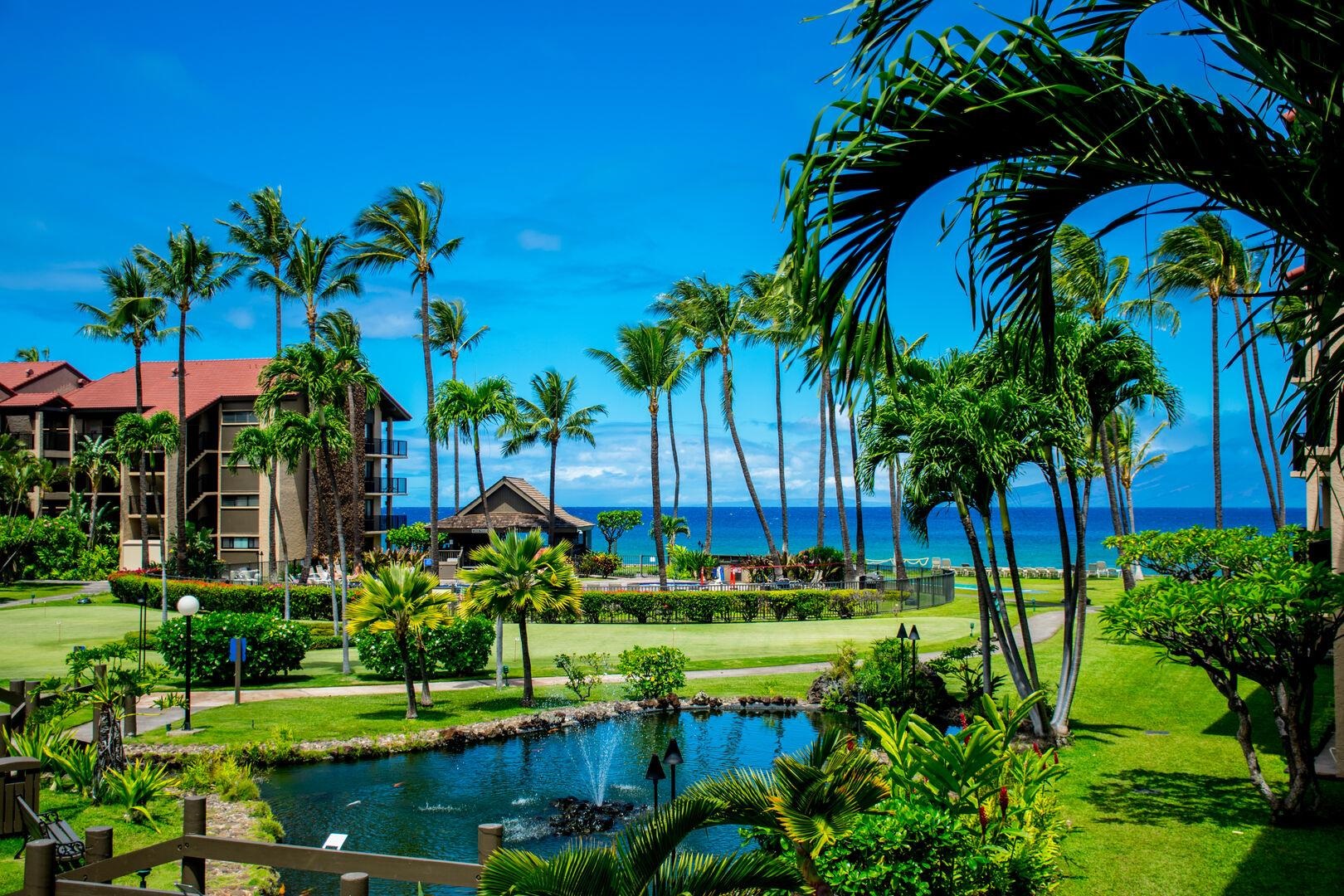 Papakea Resort I II condo # C-205, Lahaina, Hawaii - photo 3 of 50