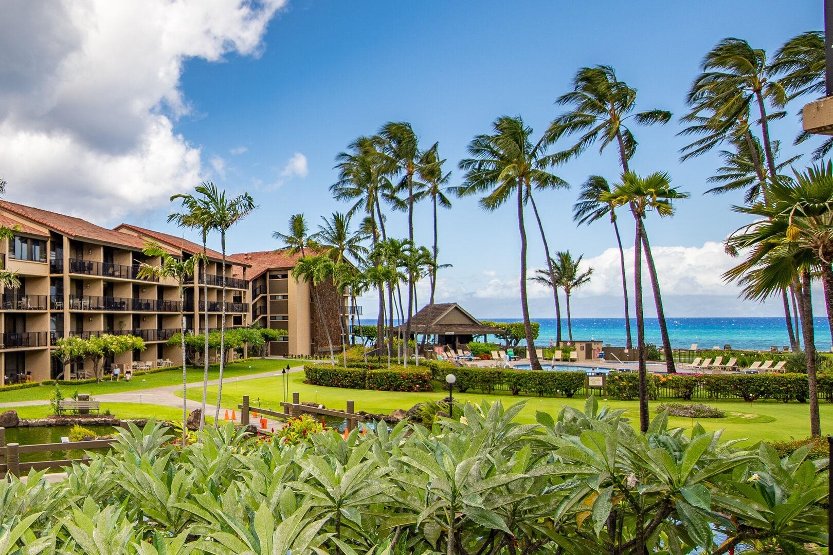Papakea Resort I II condo # C-205, Lahaina, Hawaii - photo 30 of 50