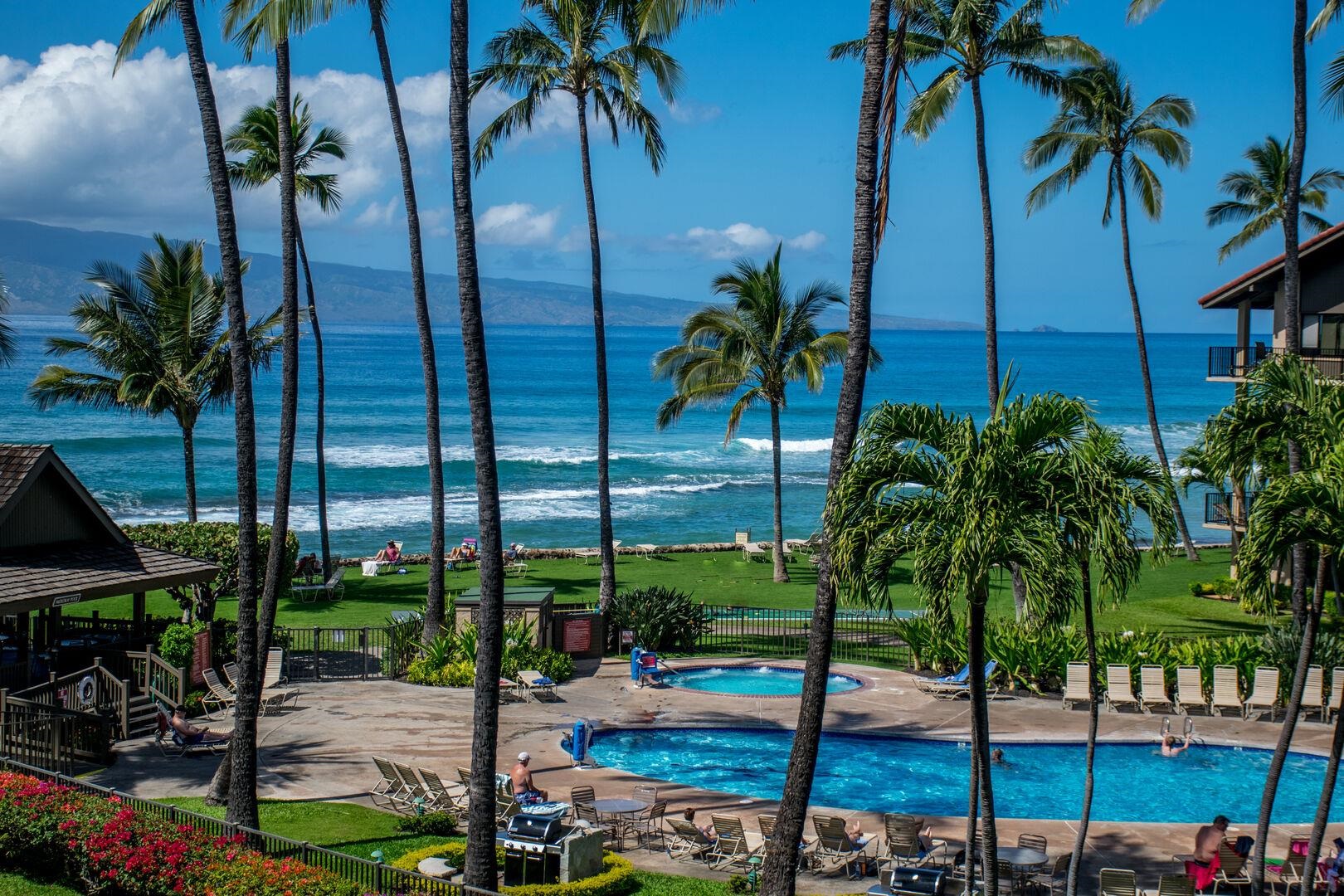 Papakea Resort I II condo # C-205, Lahaina, Hawaii - photo 4 of 50