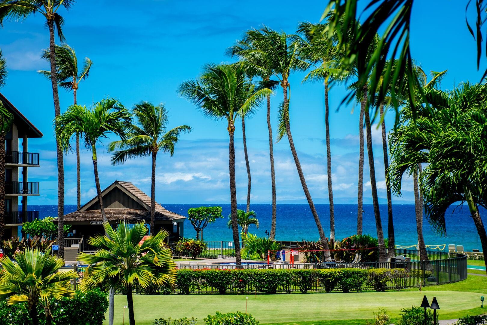 Papakea Resort I II condo # C-205, Lahaina, Hawaii - photo 31 of 50