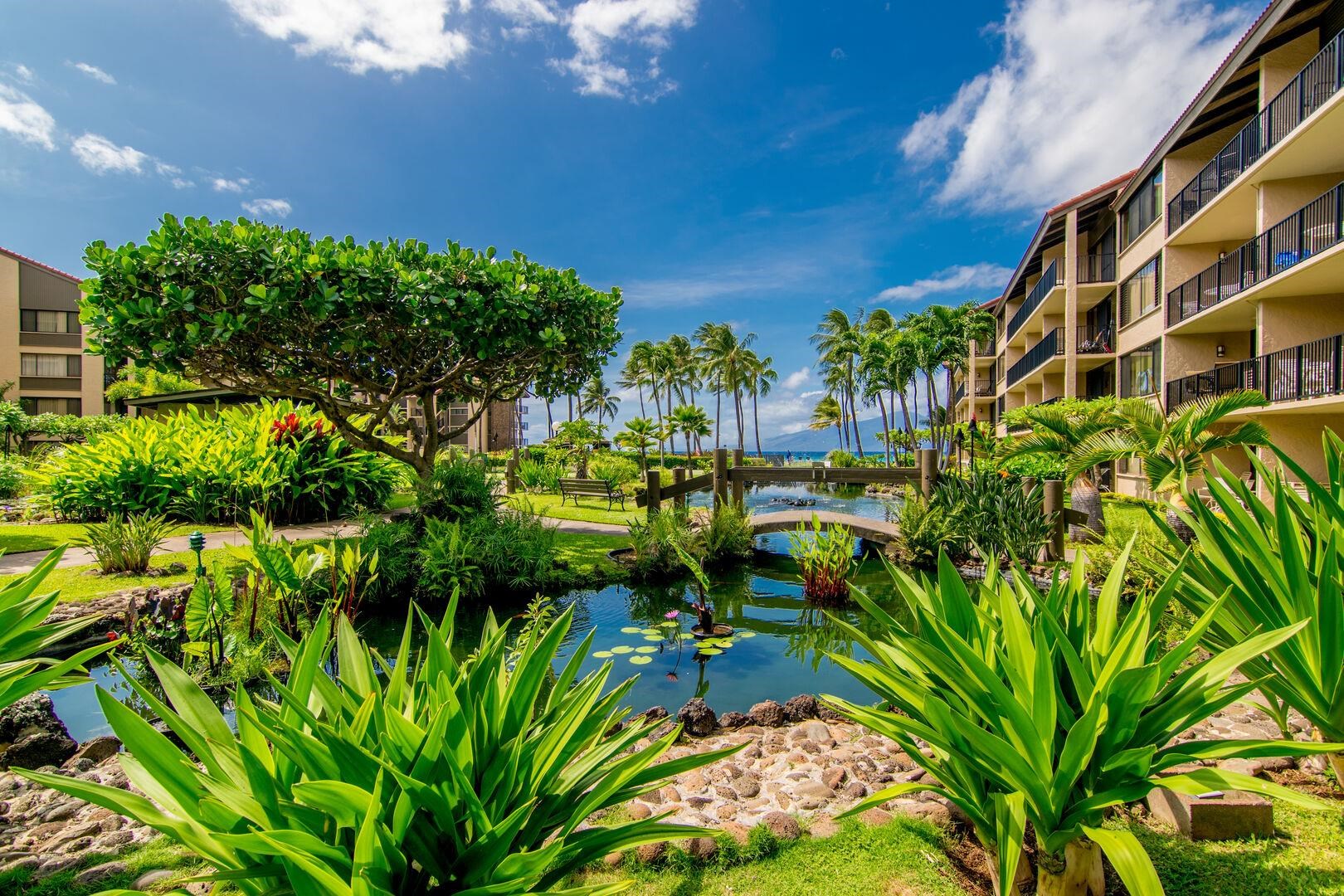 Papakea Resort I II condo # C-205, Lahaina, Hawaii - photo 32 of 50