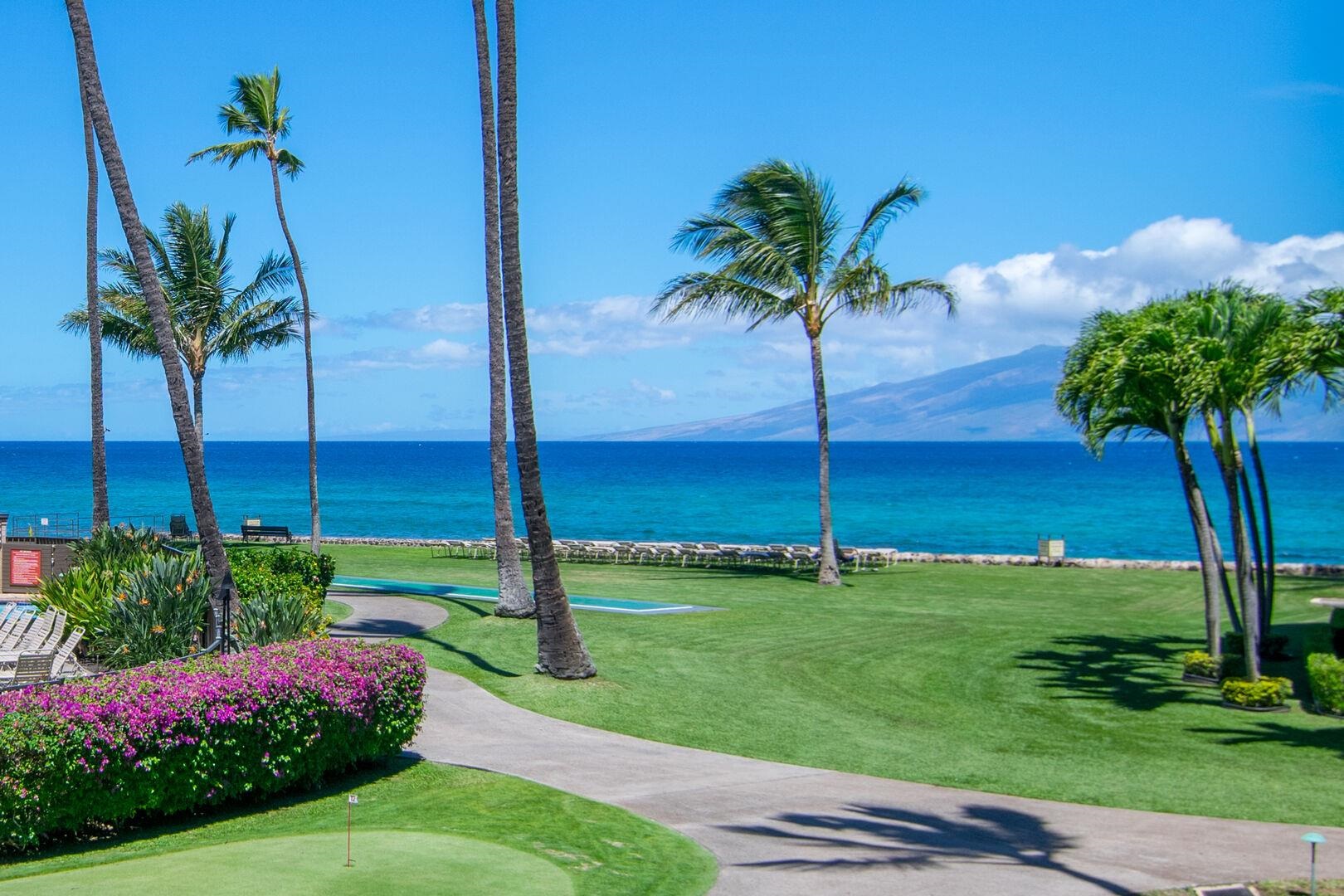 Papakea Resort I II condo # C-205, Lahaina, Hawaii - photo 40 of 50