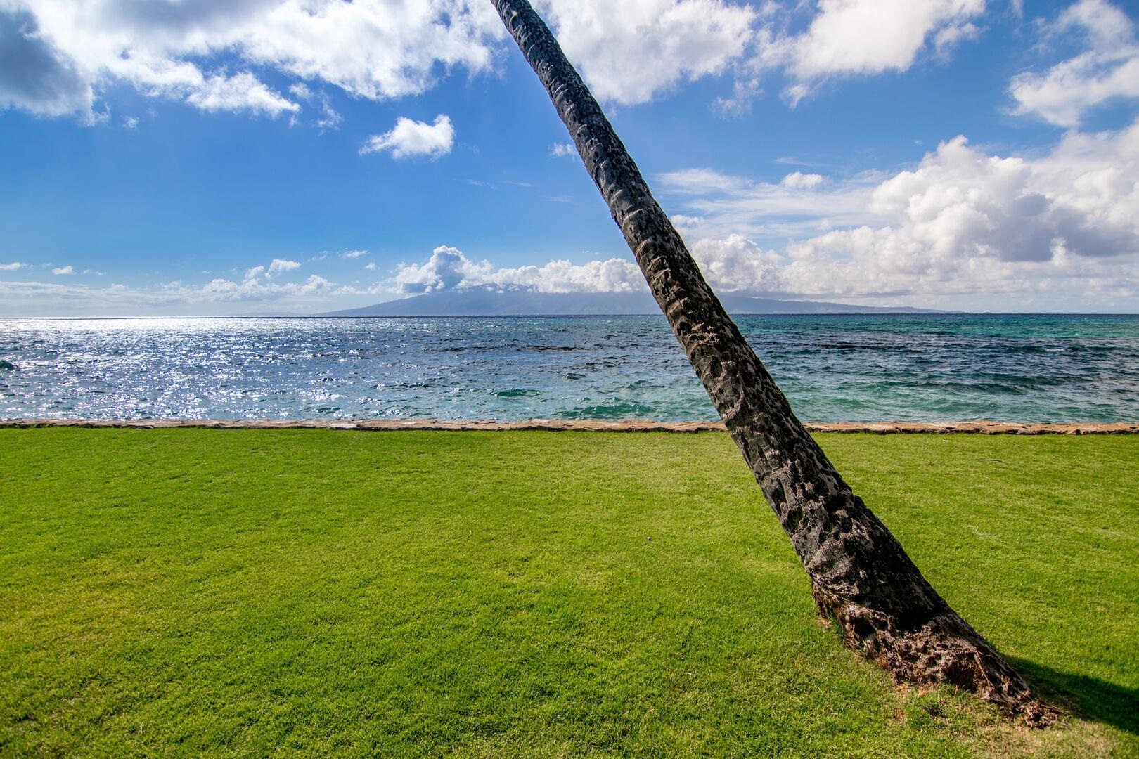 Papakea Resort I II condo # C-205, Lahaina, Hawaii - photo 42 of 50