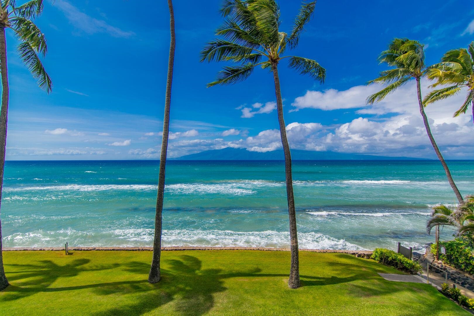 Papakea Resort I II condo # C-205, Lahaina, Hawaii - photo 43 of 50