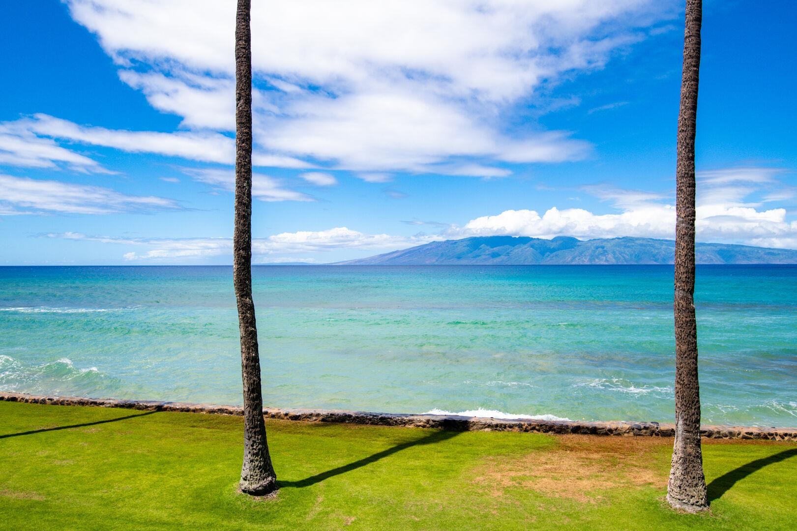 Papakea Resort I II condo # C-205, Lahaina, Hawaii - photo 44 of 50