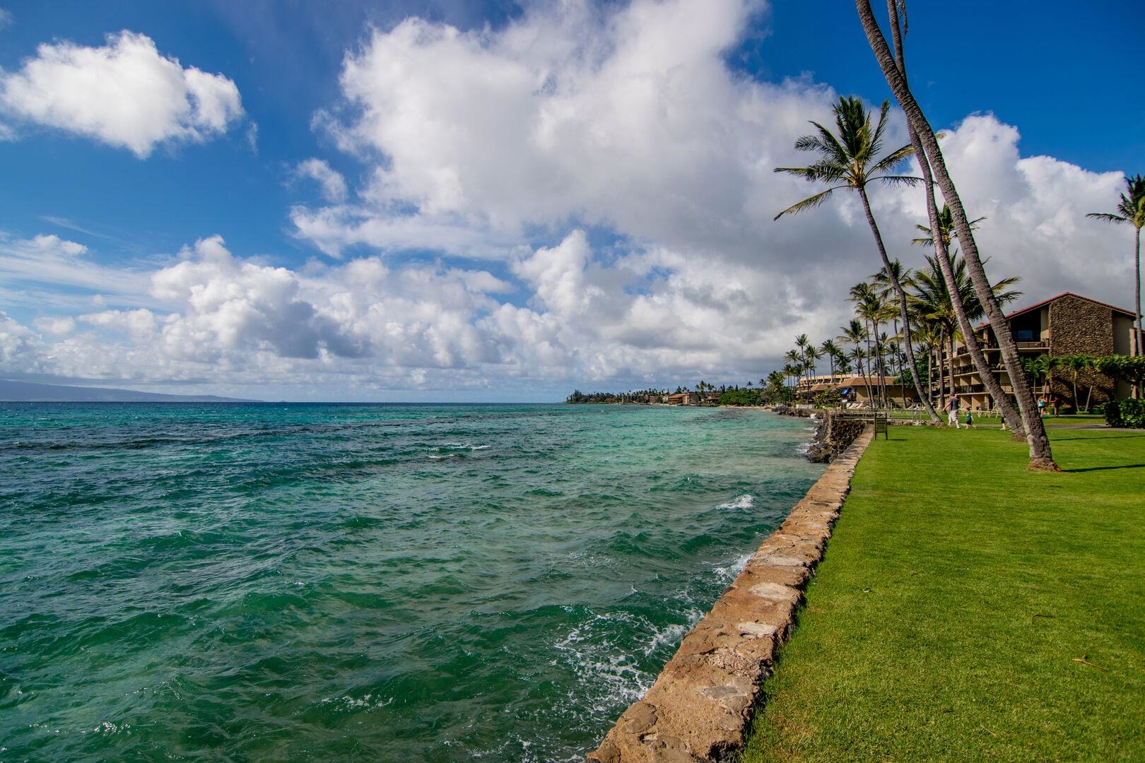 Papakea Resort I II condo # C-205, Lahaina, Hawaii - photo 45 of 50