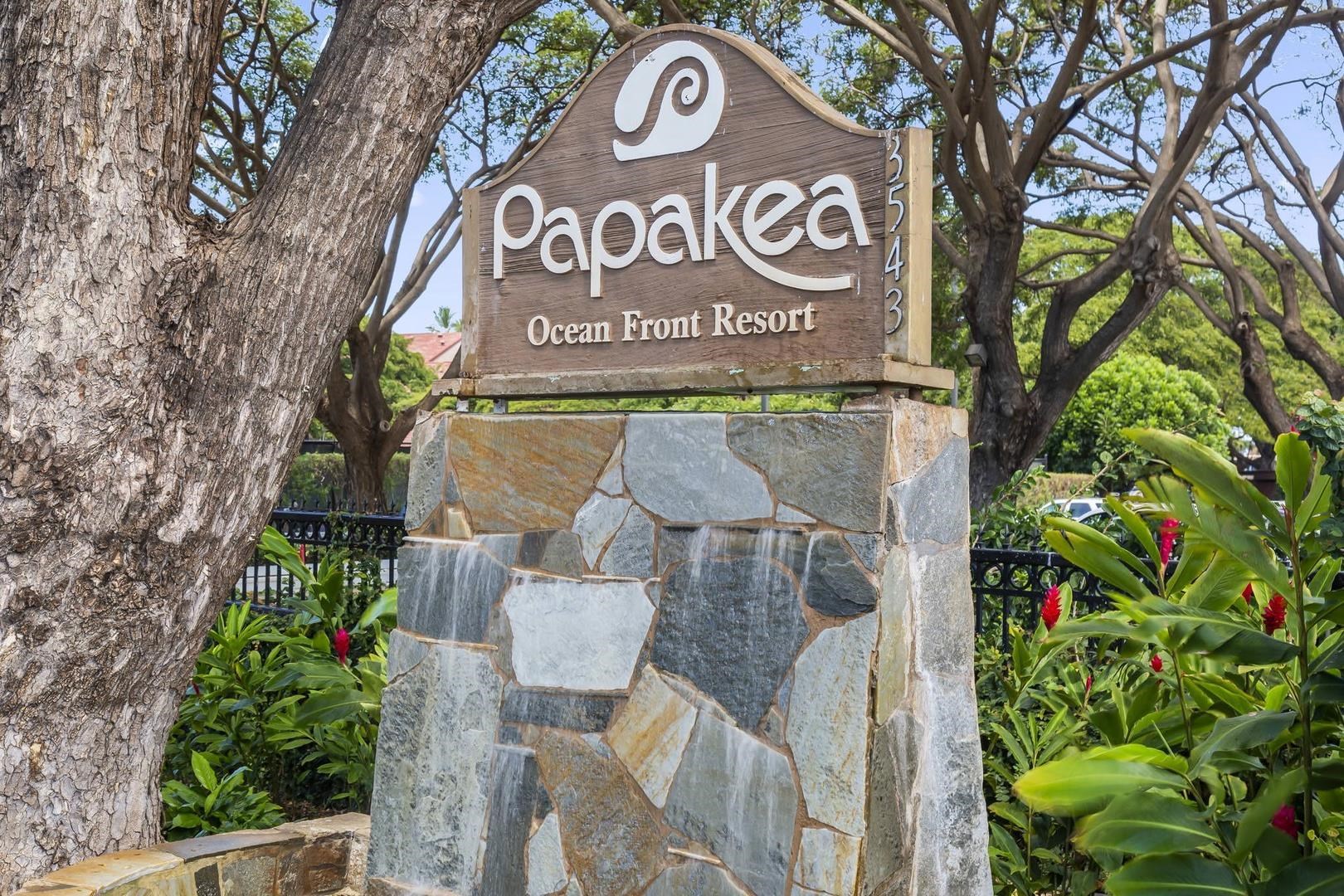 Papakea Resort I II condo # C206, Lahaina, Hawaii - photo 19 of 24