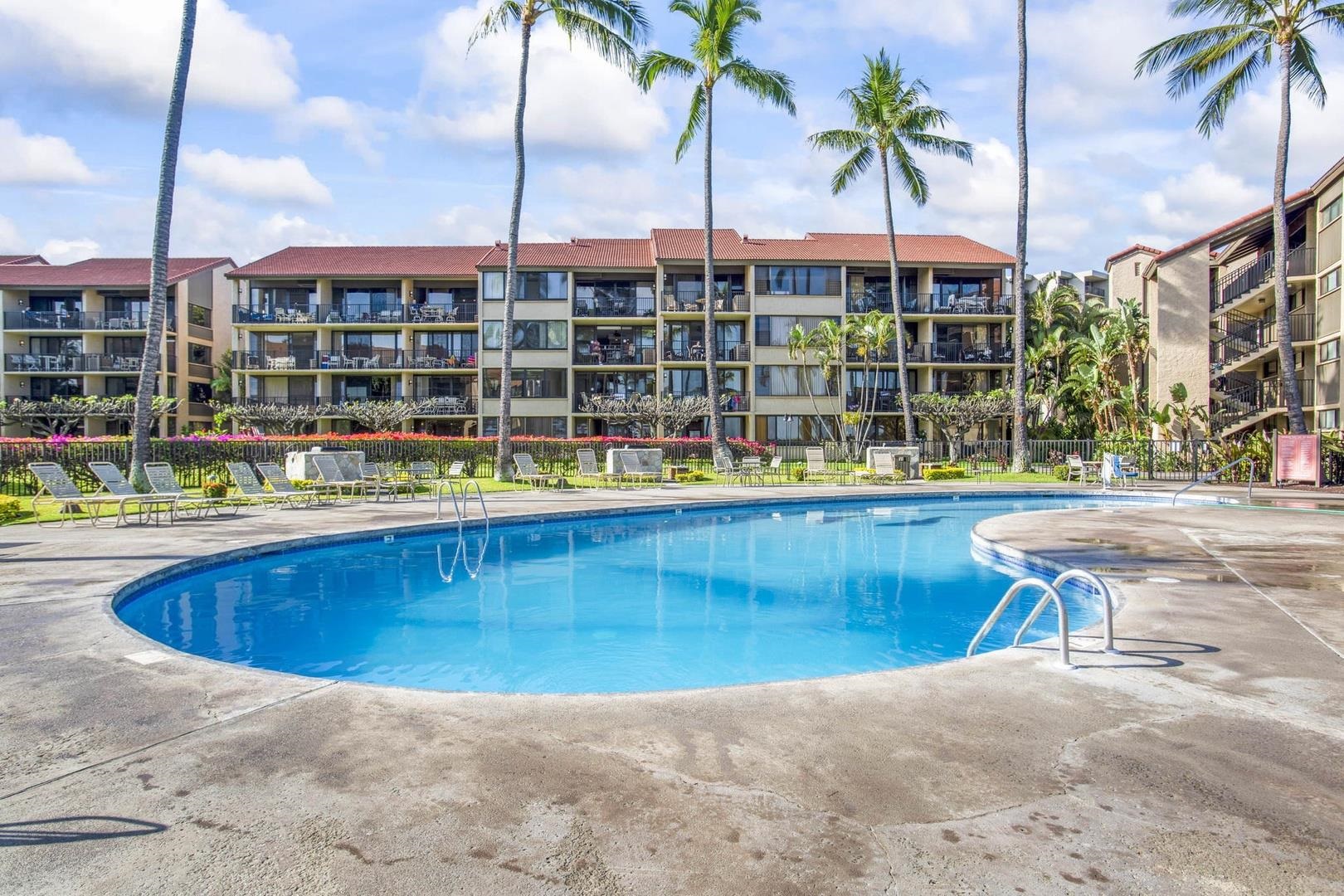Papakea Resort I II condo # C206, Lahaina, Hawaii - photo 20 of 24