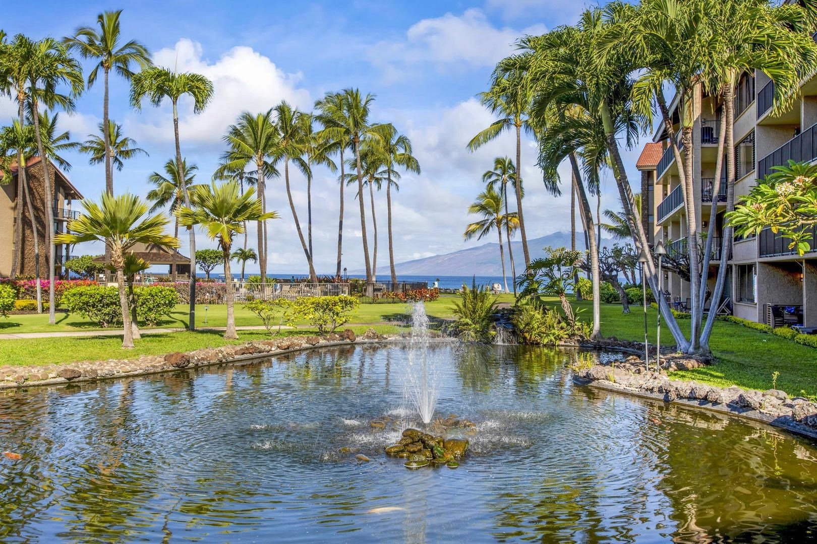 Papakea Resort I II condo # C206, Lahaina, Hawaii - photo 23 of 24