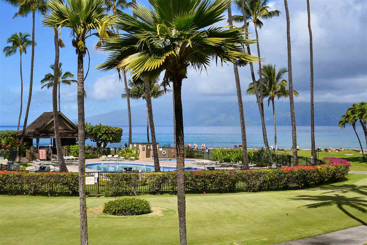 Papakea Resort I II condo # C207, Lahaina, Hawaii - photo 22 of 30