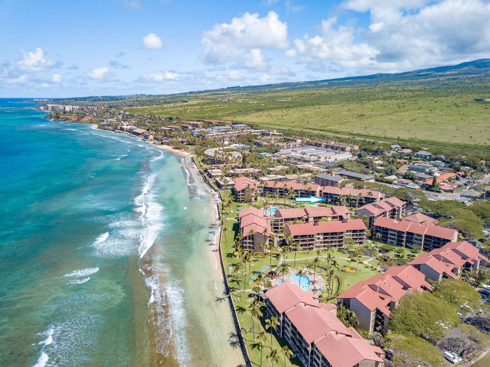 Papakea Resort I II condo # C209, Lahaina, Hawaii - photo 30 of 48