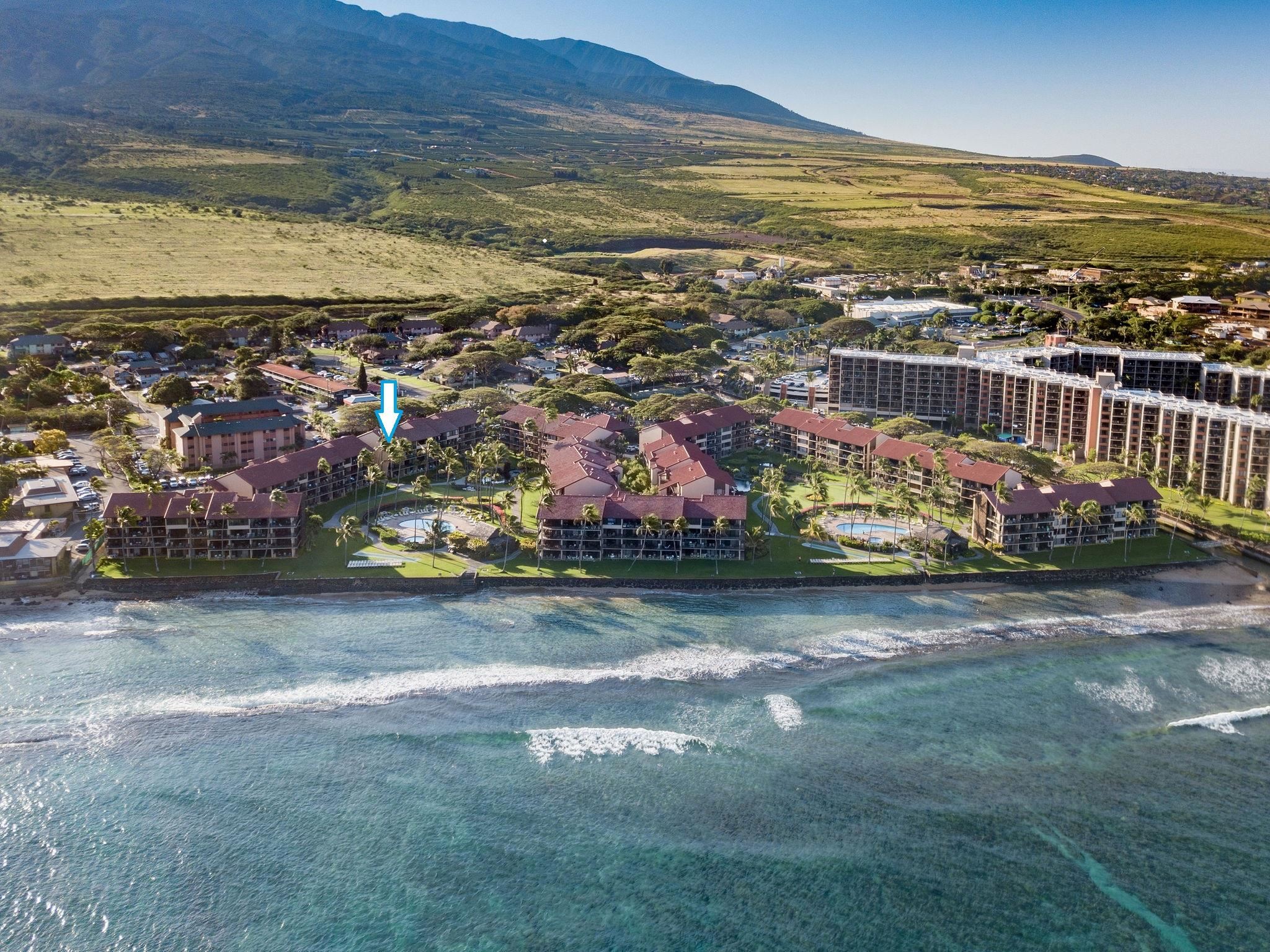 Papakea Resort I II condo # C209, Lahaina, Hawaii - photo 36 of 48