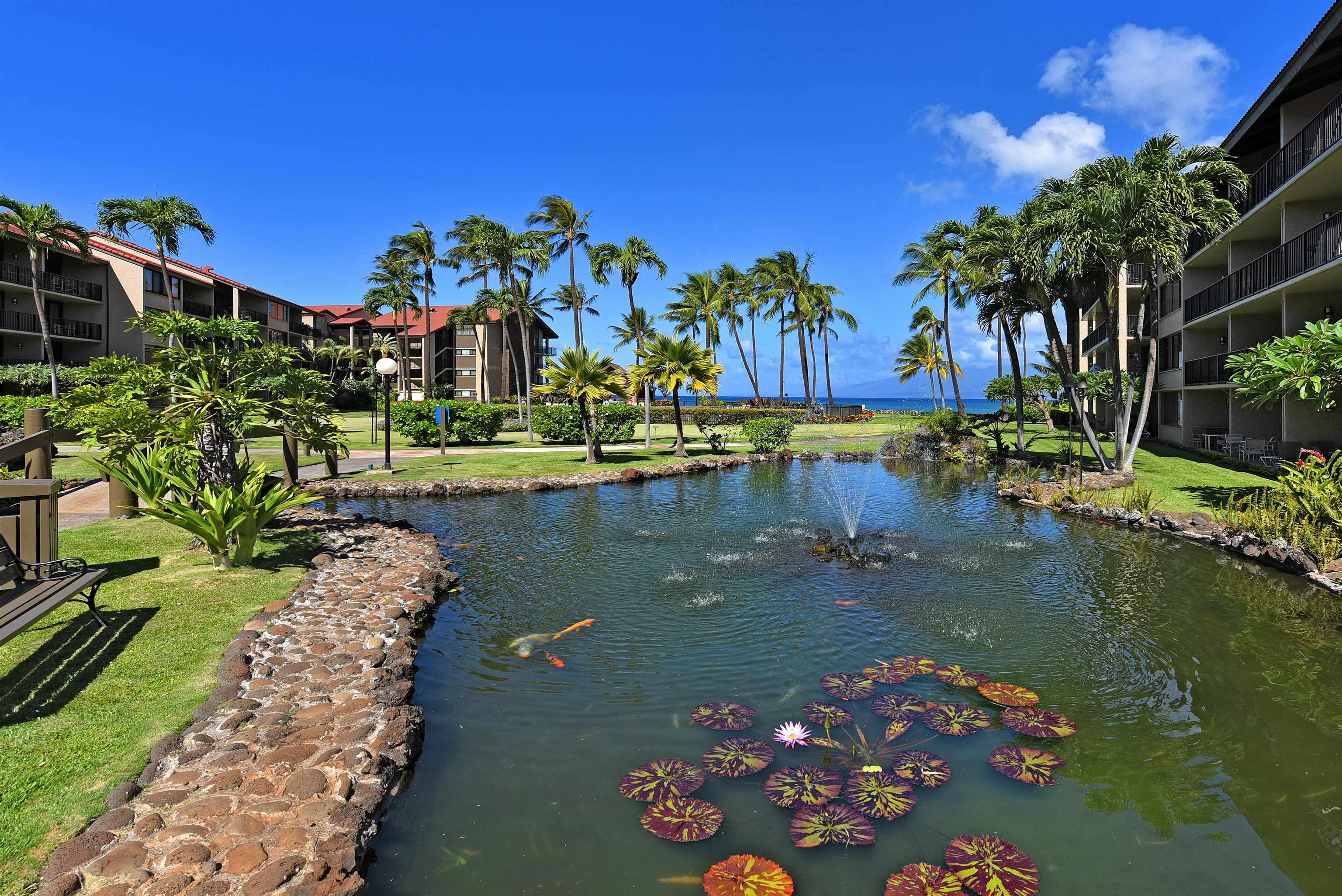 Papakea Resort I II condo # C209, Lahaina, Hawaii - photo 39 of 48