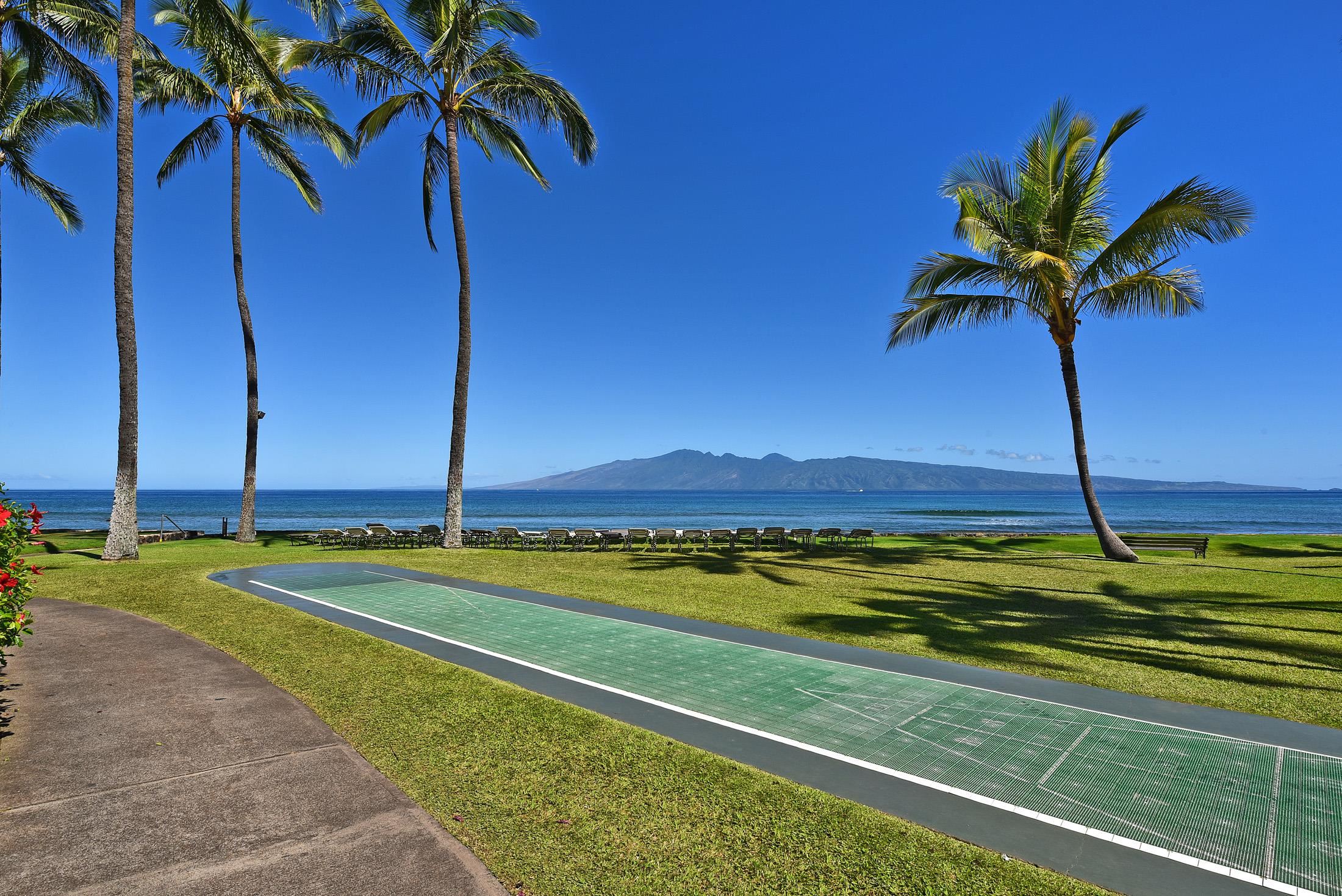 Papakea Resort I II condo # C209, Lahaina, Hawaii - photo 40 of 48