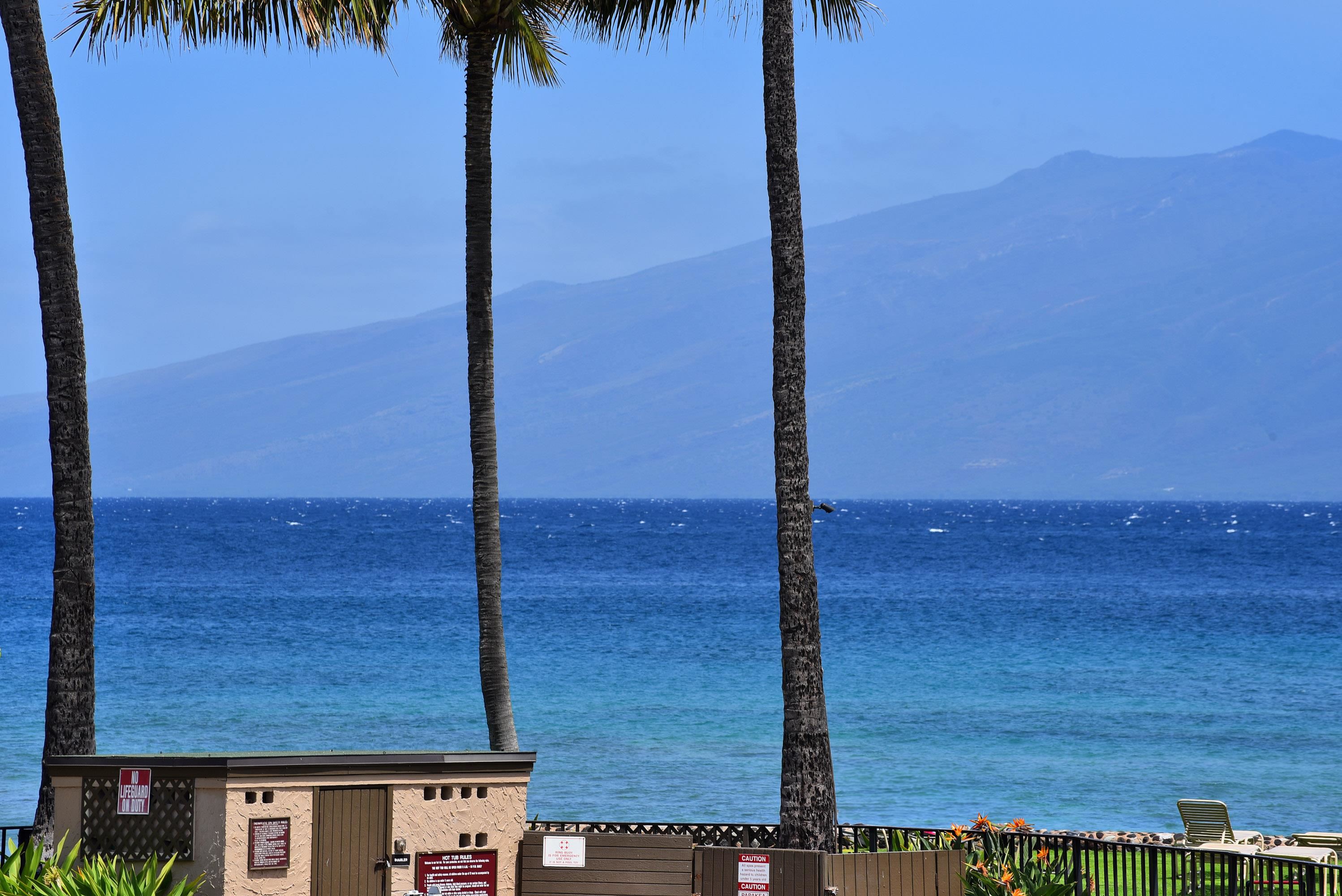 Papakea Resort I II condo # C209, Lahaina, Hawaii - photo 48 of 48