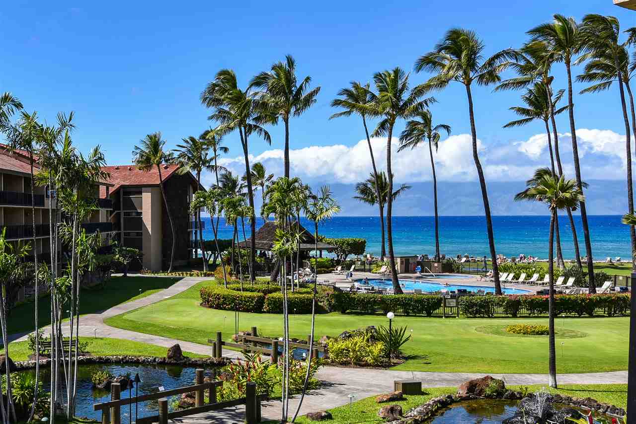 Papakea Resort I II condo # C303, Lahaina, Hawaii - photo 15 of 29