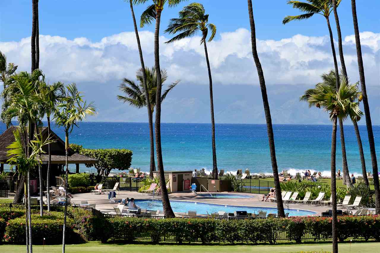 Papakea Resort I II condo # C303, Lahaina, Hawaii - photo 17 of 29