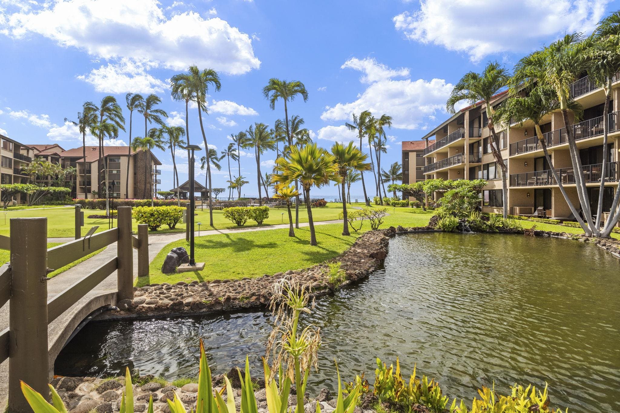 Papakea Resort I II condo # D101, Lahaina, Hawaii - photo 26 of 48