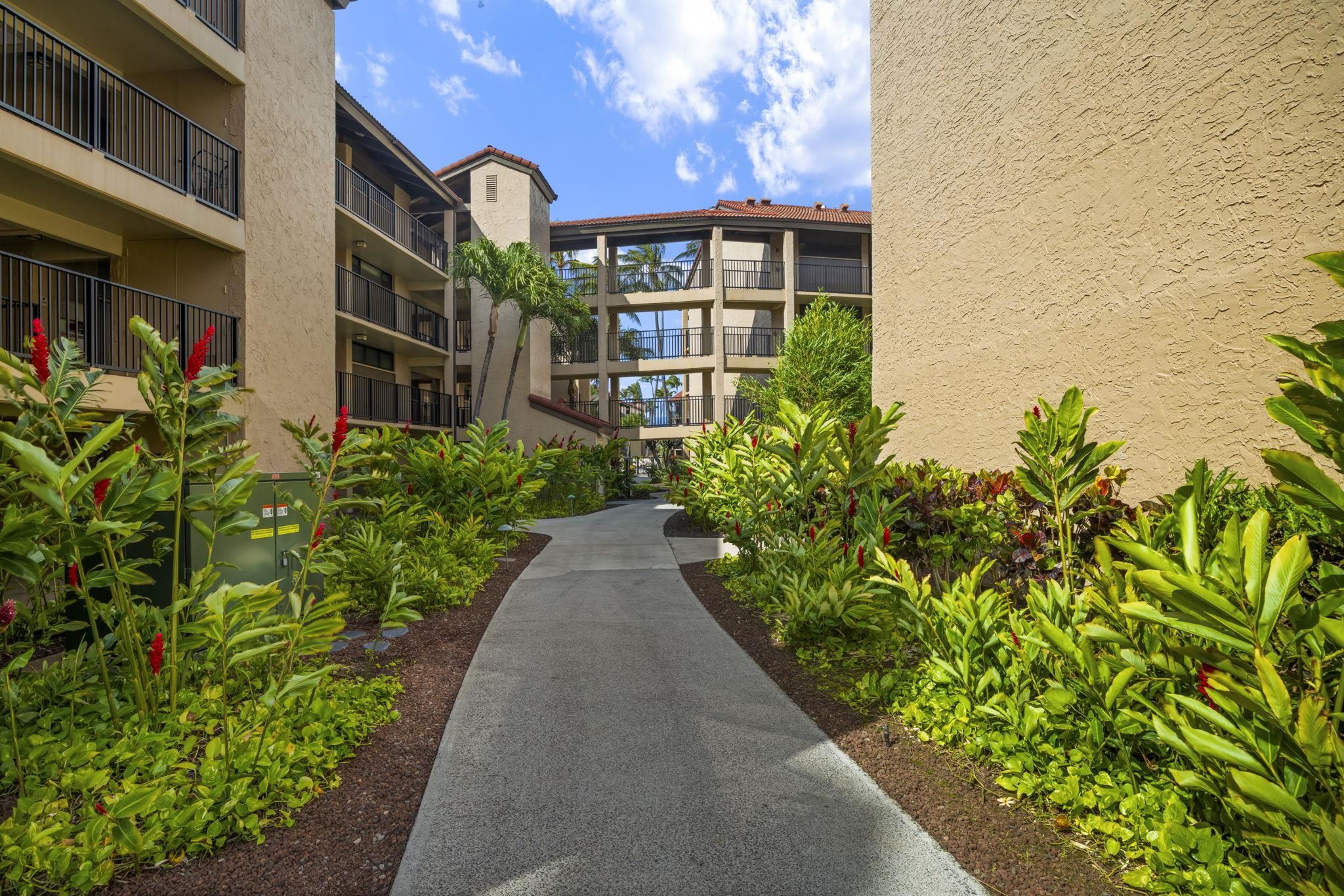 Papakea Resort I II condo # D101, Lahaina, Hawaii - photo 27 of 48