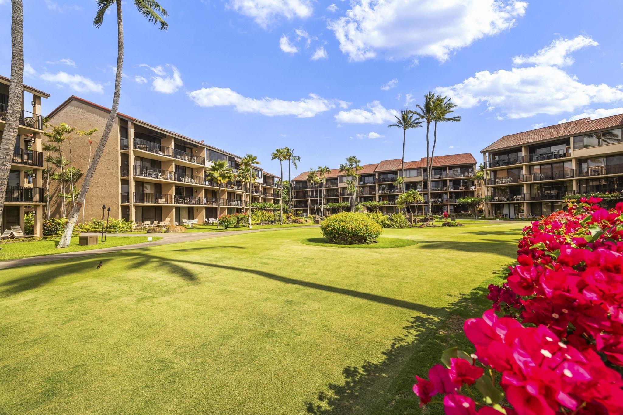 Papakea Resort I II condo # D101, Lahaina, Hawaii - photo 31 of 48