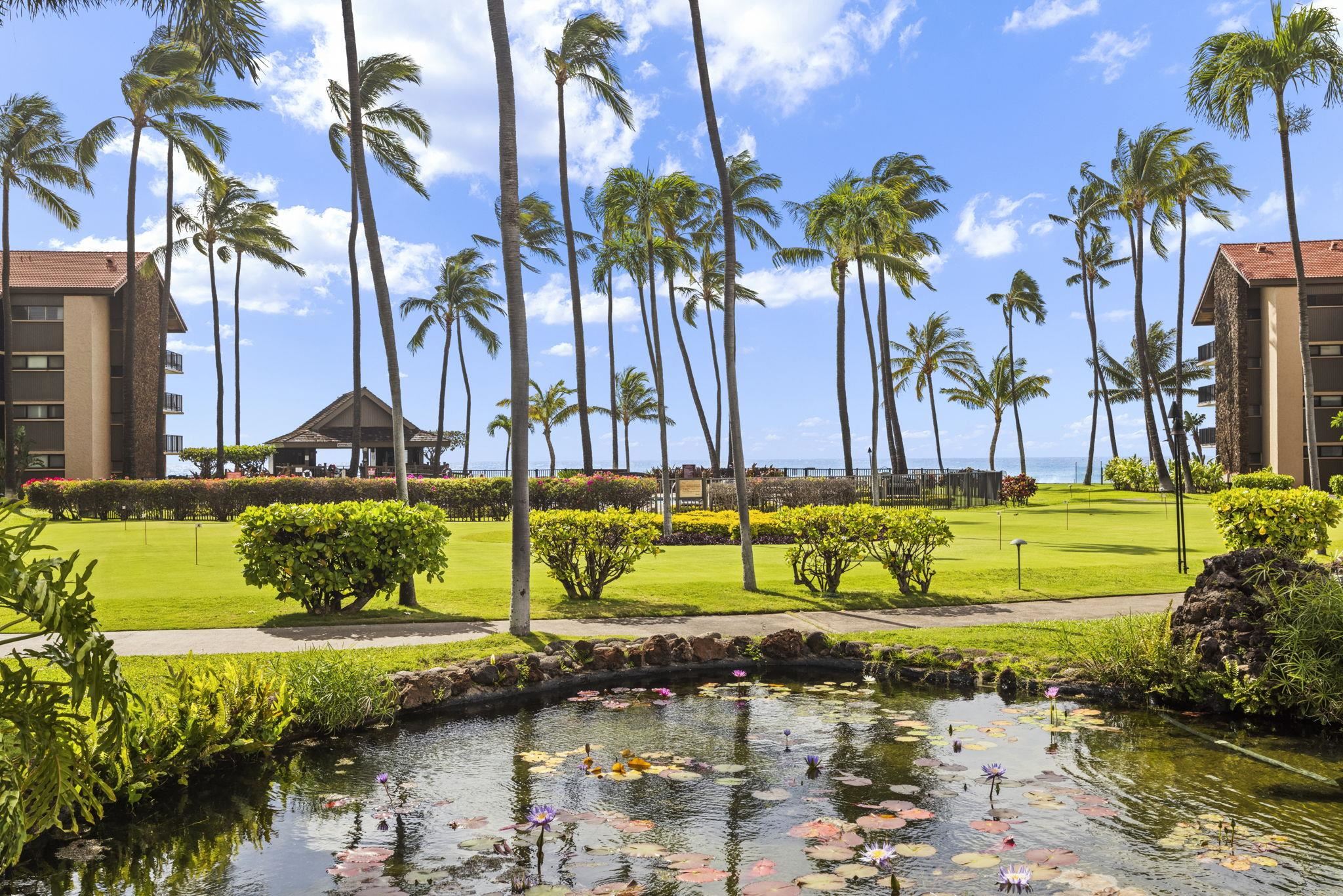 Papakea Resort I II condo # D101, Lahaina, Hawaii - photo 32 of 48