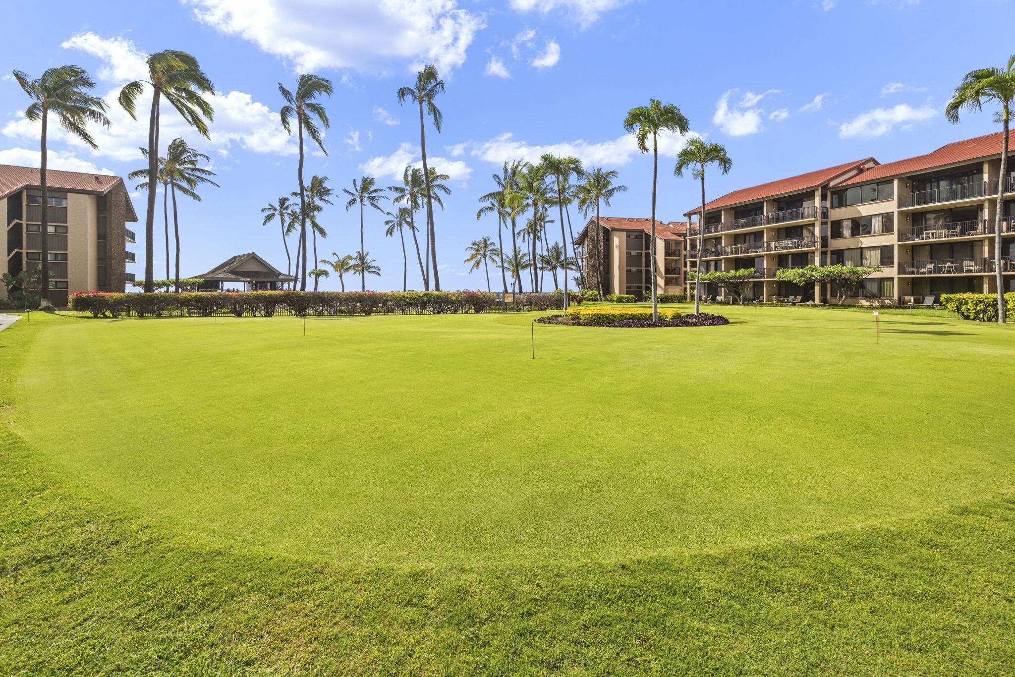 Papakea Resort I II condo # D101, Lahaina, Hawaii - photo 33 of 48