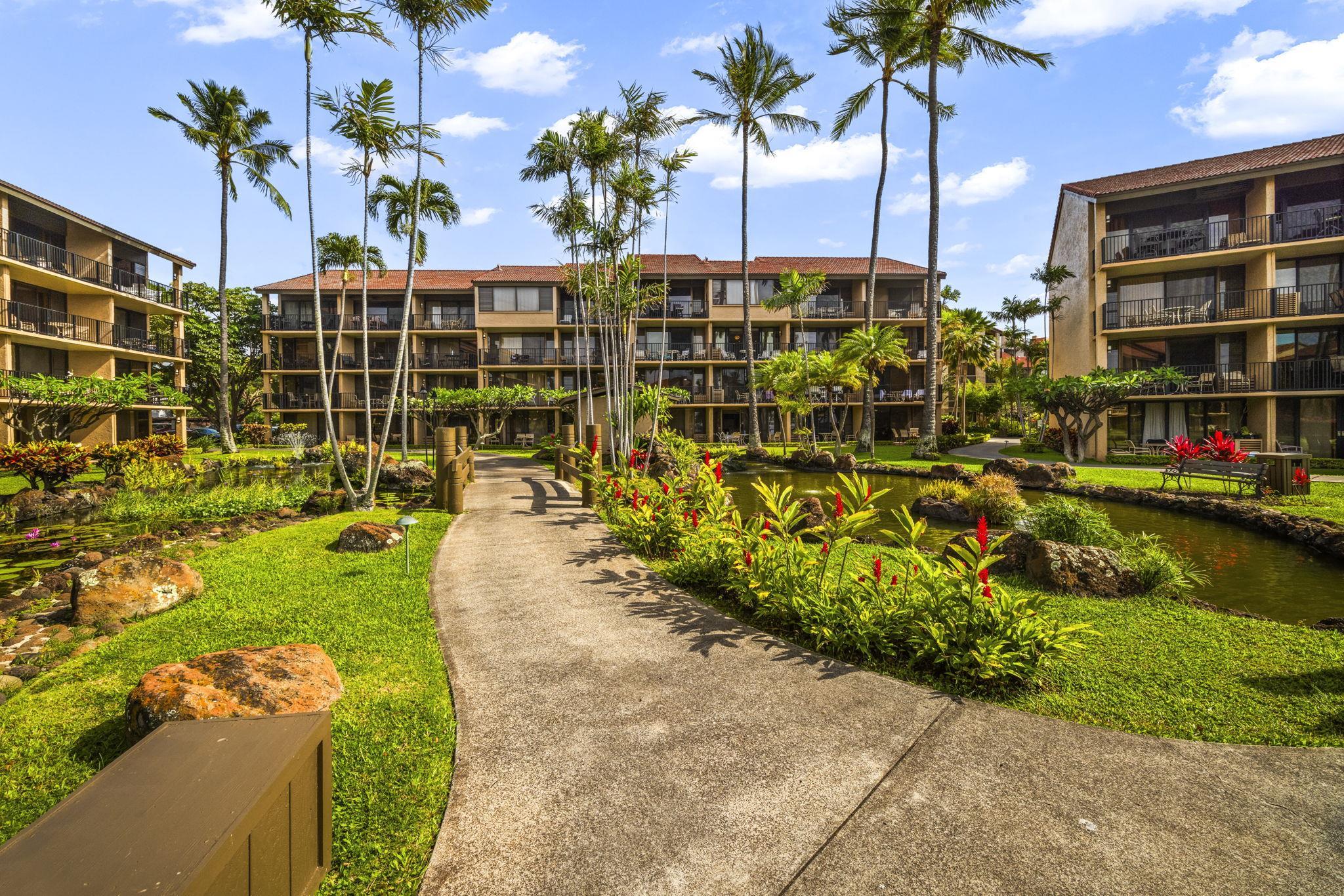 Papakea Resort I II condo # D101, Lahaina, Hawaii - photo 37 of 48