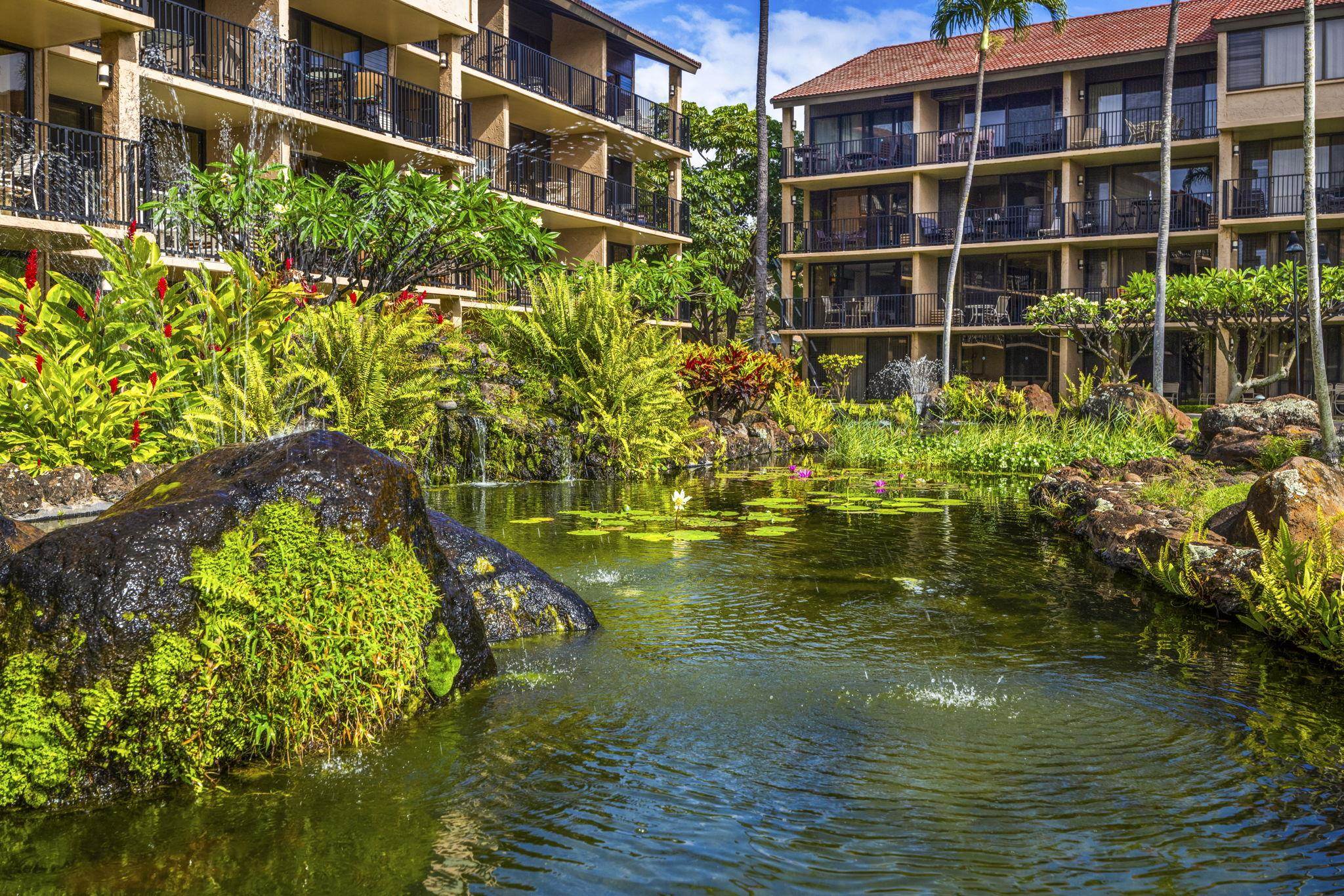 Papakea Resort I II condo # D101, Lahaina, Hawaii - photo 42 of 48