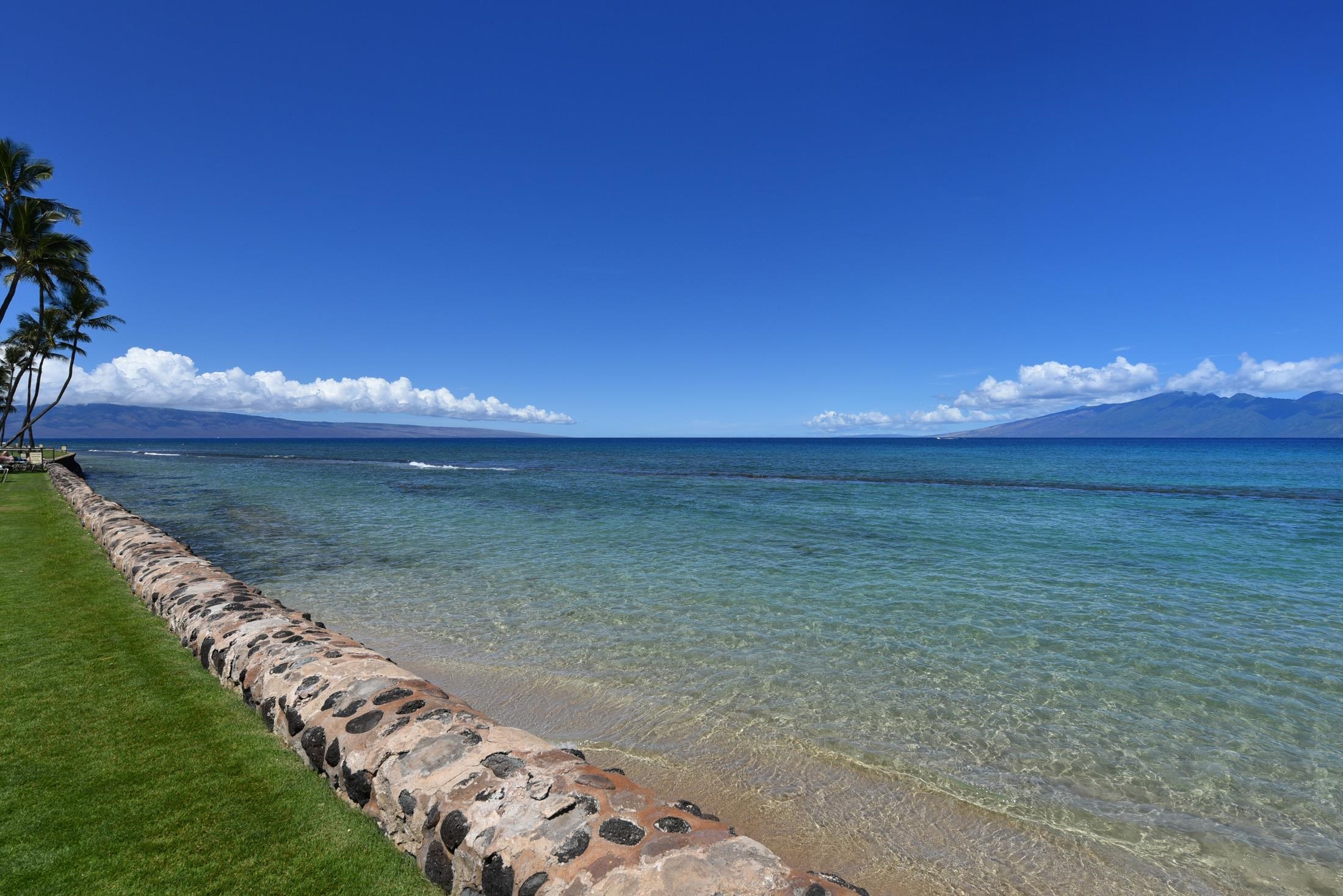 Papakea Resort I II condo # D101, Lahaina, Hawaii - photo 43 of 48