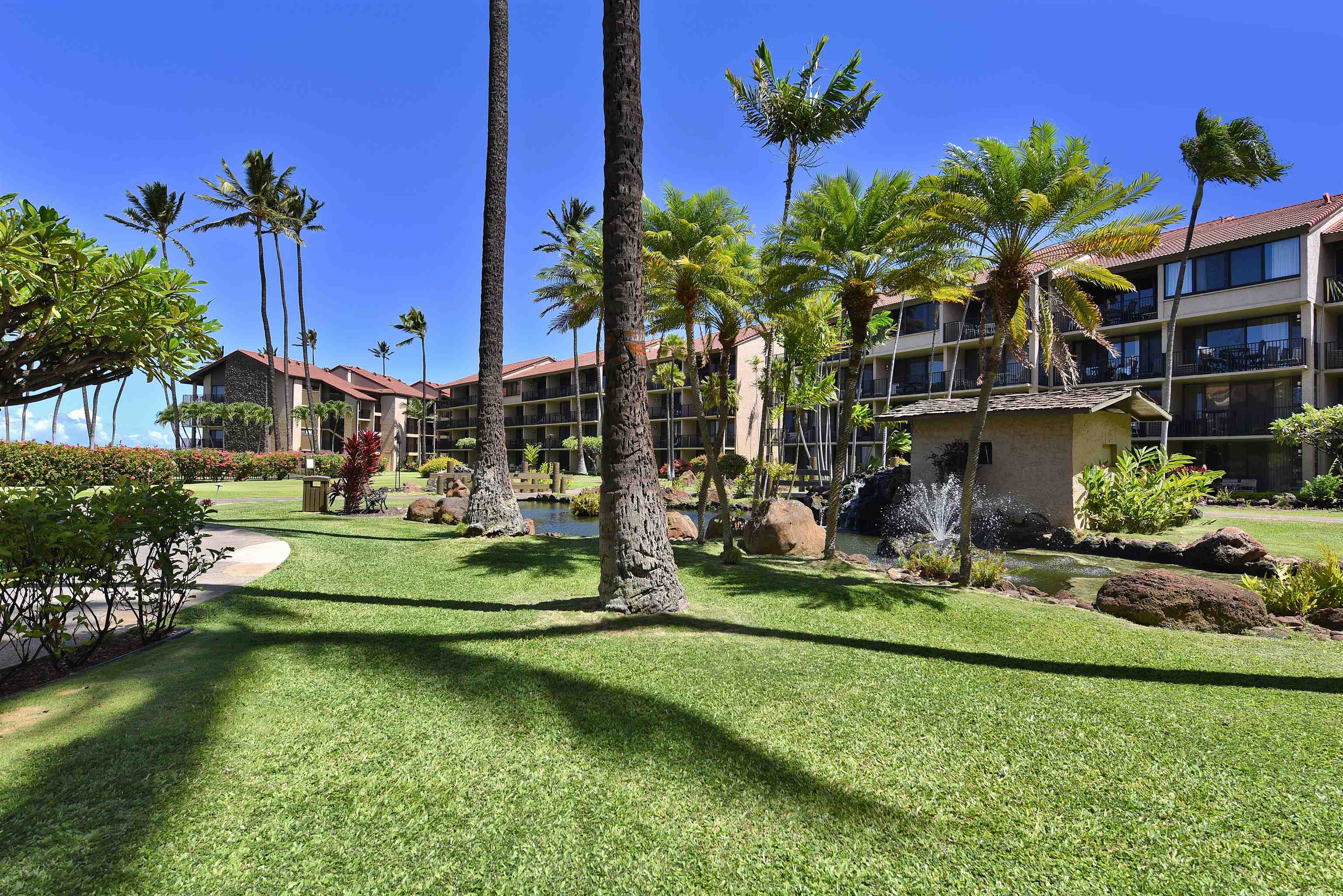 Papakea Resort I II condo # D101, Lahaina, Hawaii - photo 26 of 42