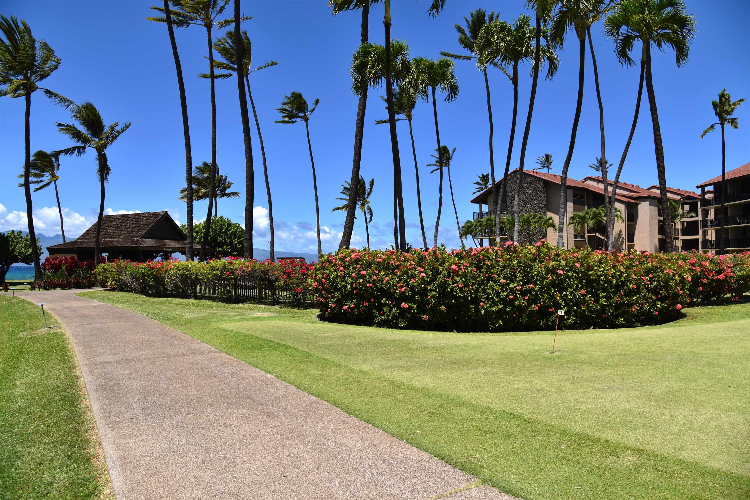Papakea Resort I II condo # D101, Lahaina, Hawaii - photo 27 of 42