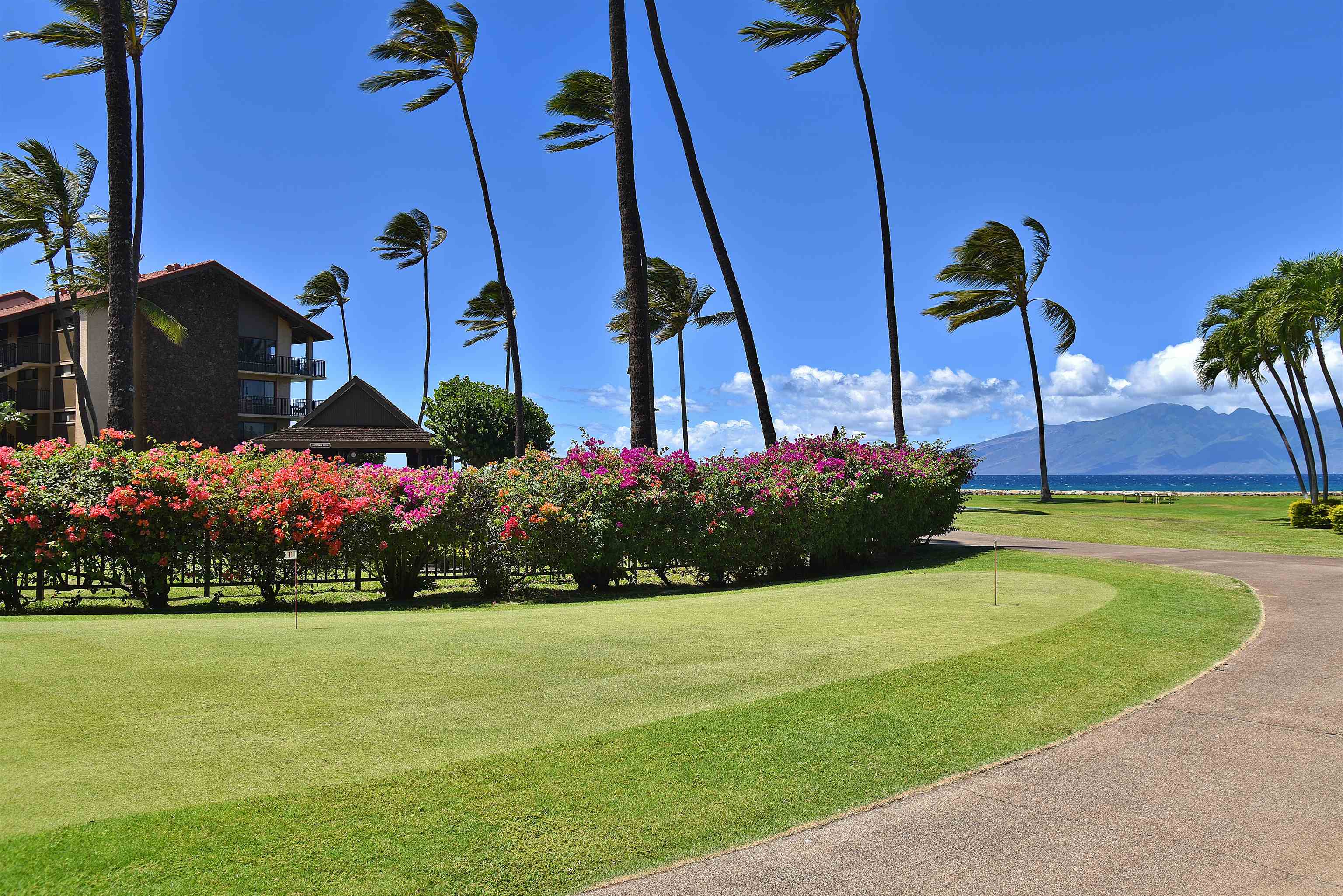 Papakea Resort I II condo # D101, Lahaina, Hawaii - photo 29 of 42